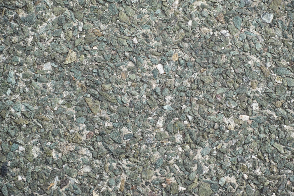 a close-up of a rocky area