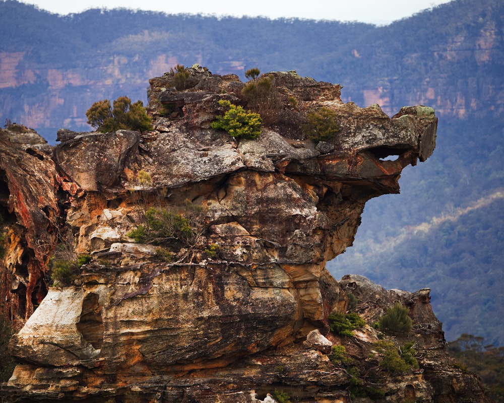 a rocky cliff with trees