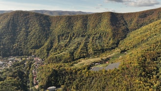 A picturesque view of solar panels in a green landscape.