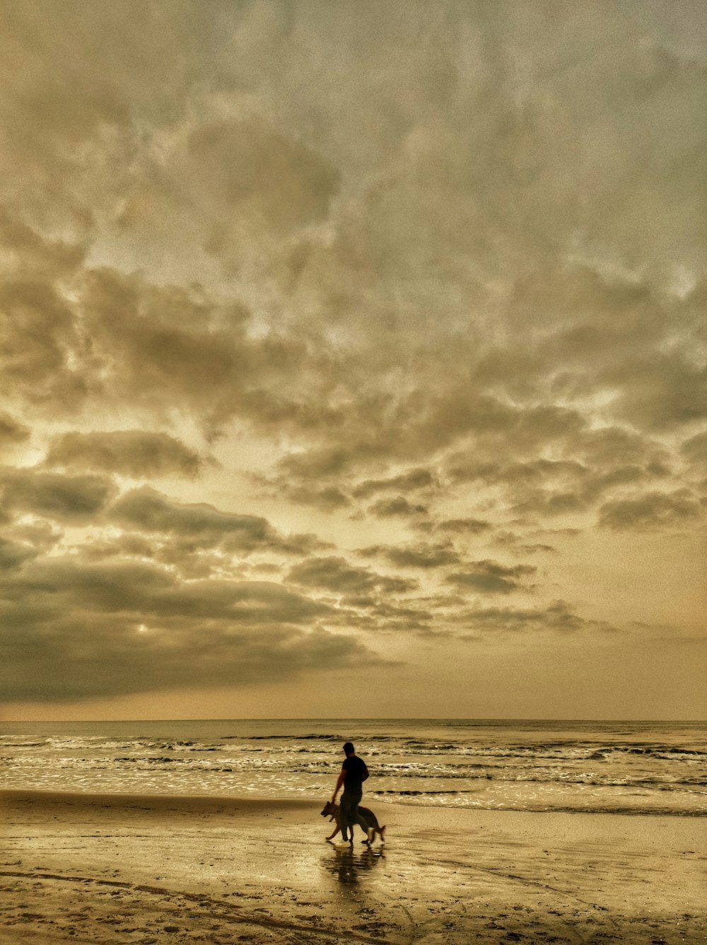 una persona e un cane su una spiaggia