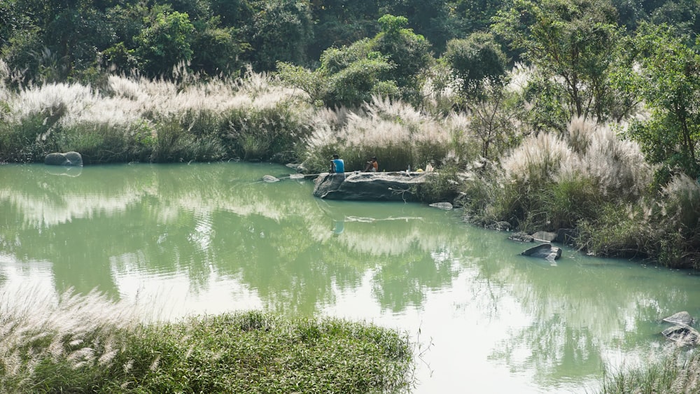 a body of water with trees and bushes around it