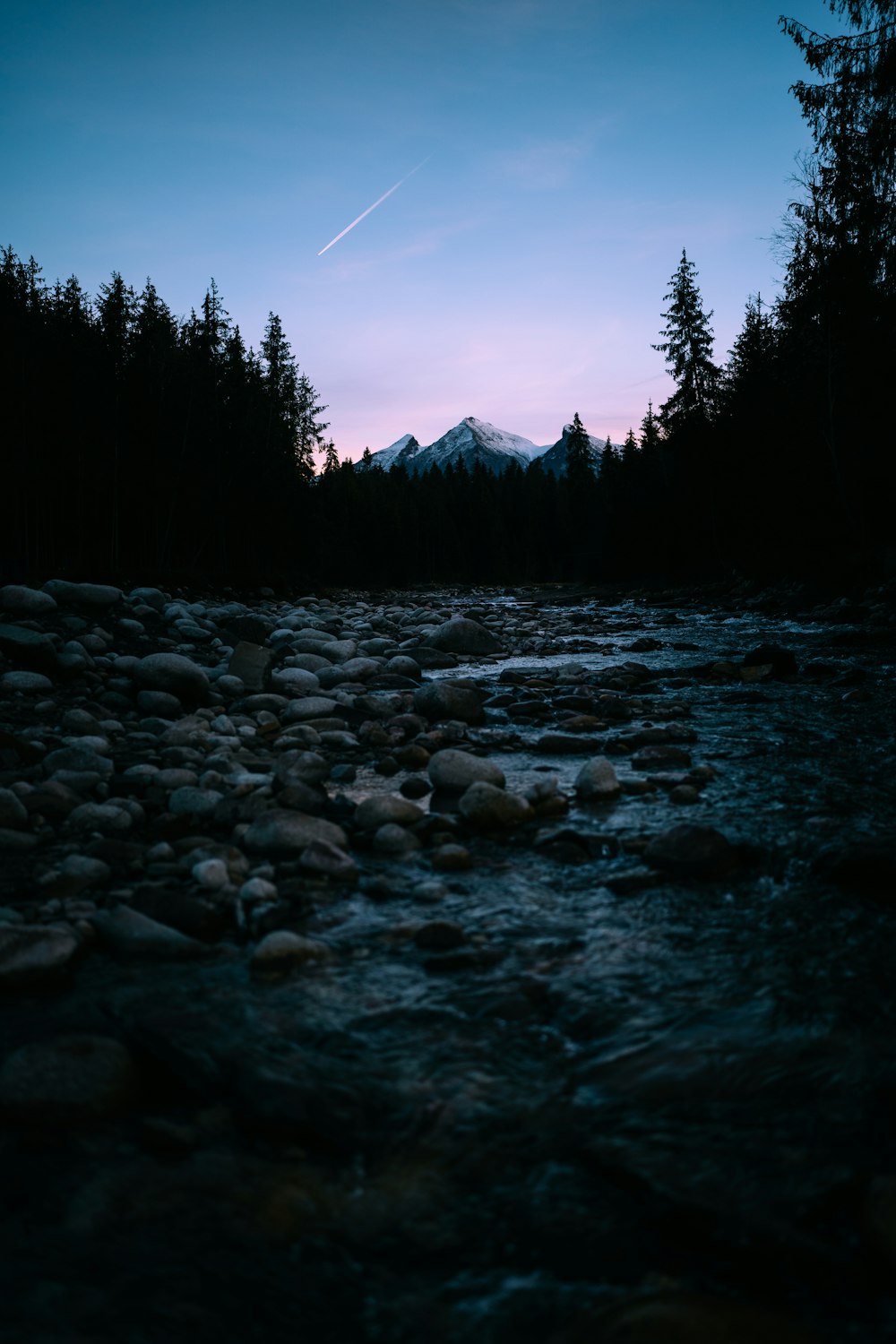 a river with rocks and trees