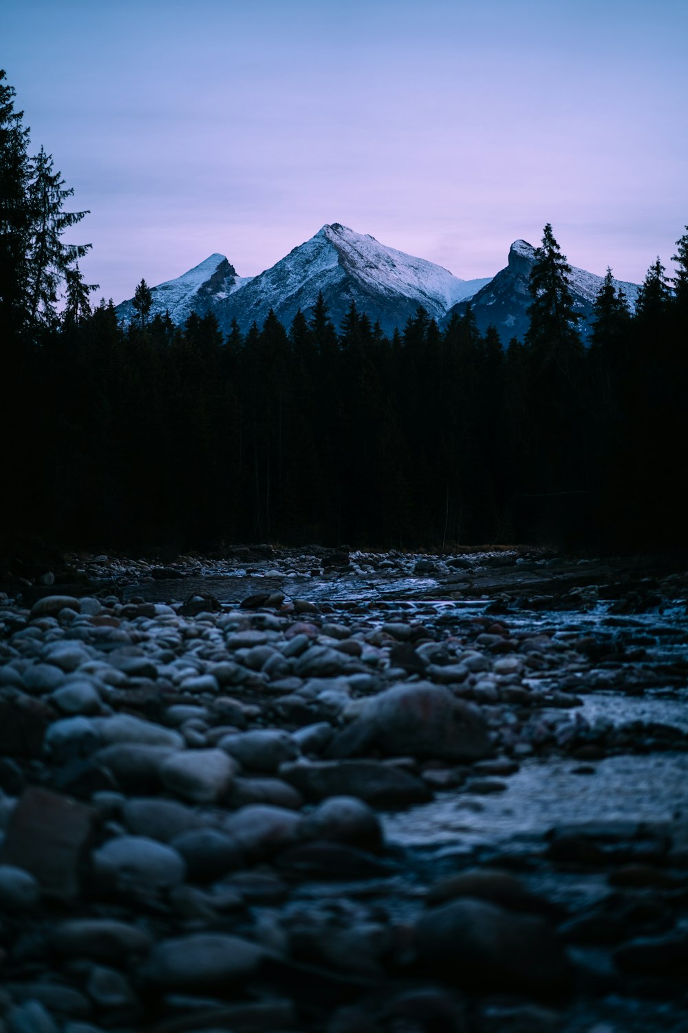 a river with rocks and trees in the background