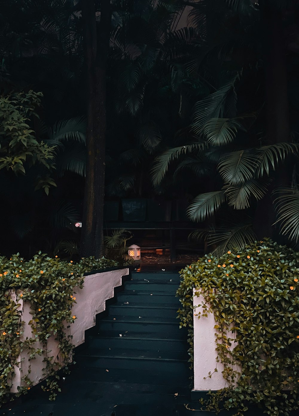 a staircase with plants on the side