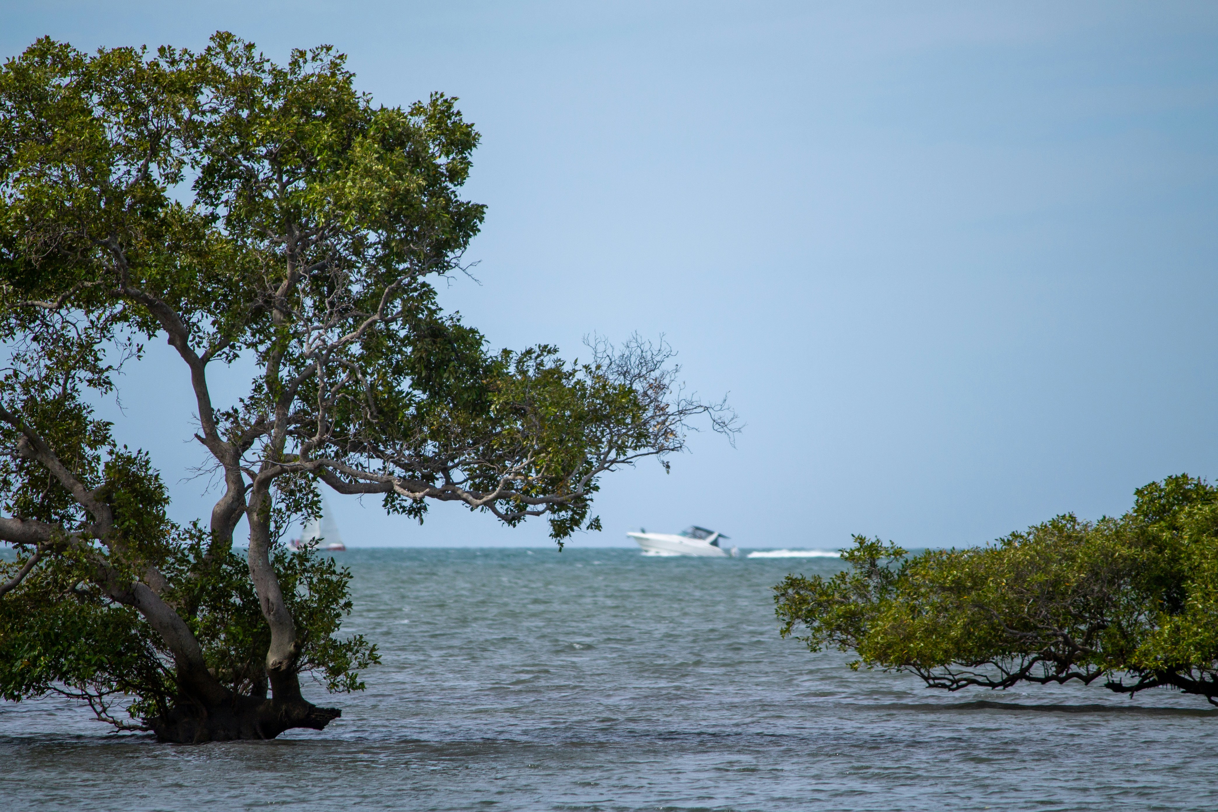 Photo by doublednine