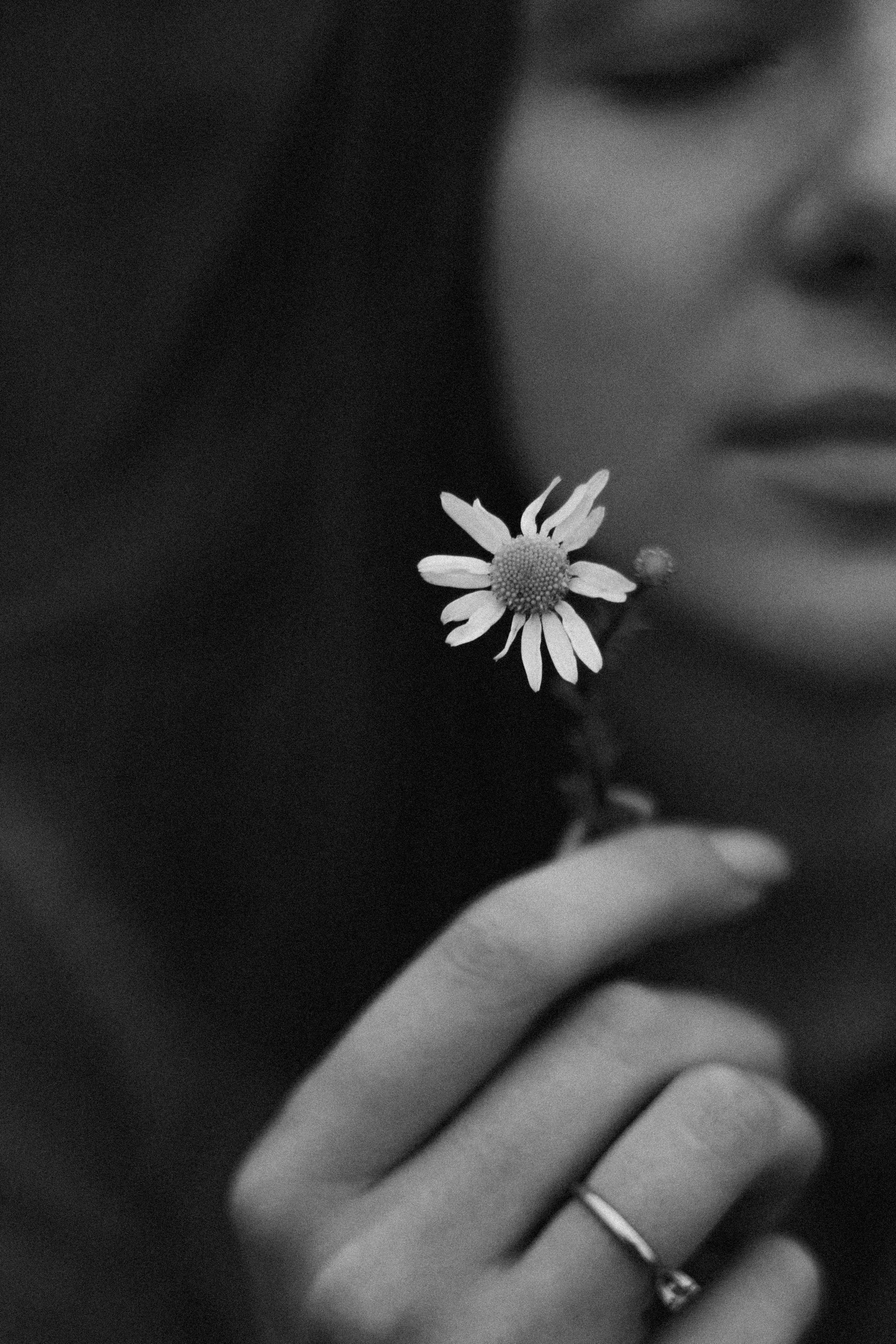 Photo by iziumlab