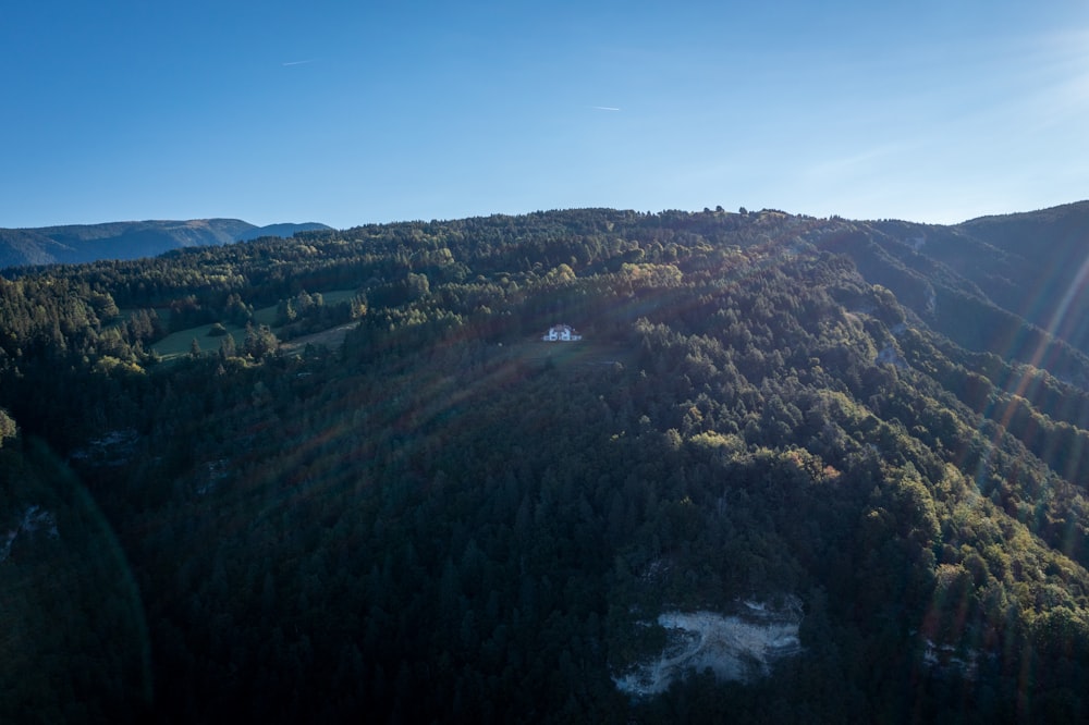 a landscape with trees and a body of water in the distance