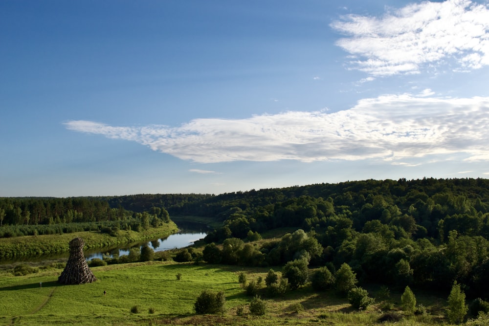 a landscape with trees and a body of water in the distance