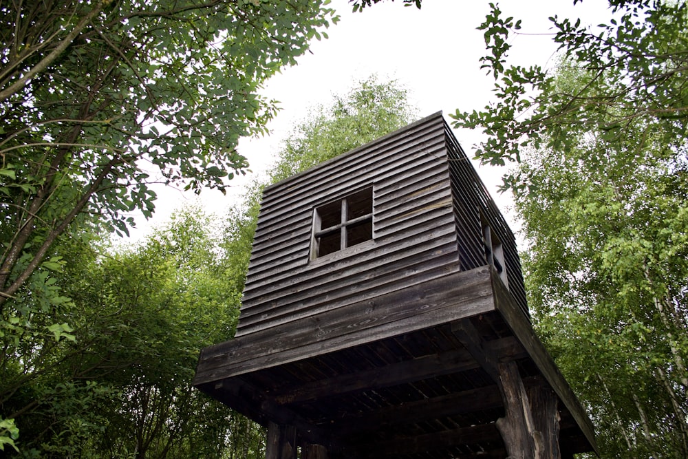 a tree house with a tree in the background