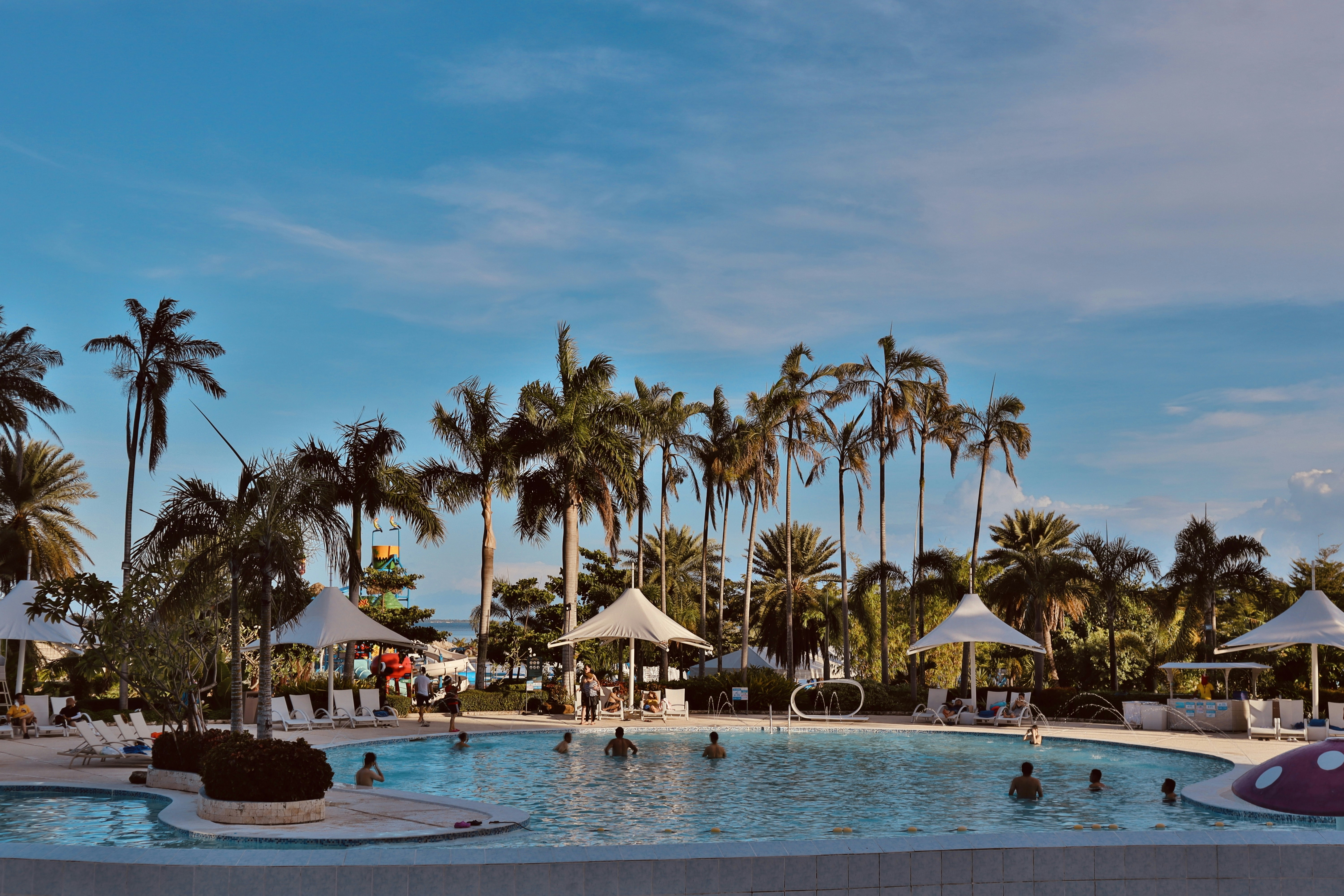 a pool with people in it by palm trees and a beach