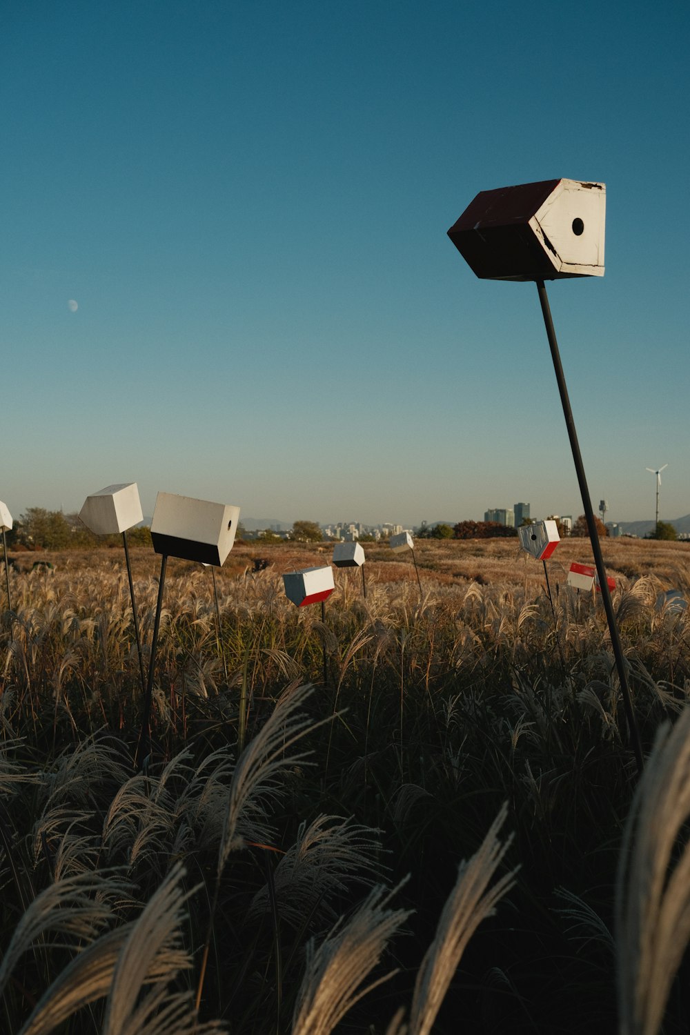 a field with a few satellite dishes