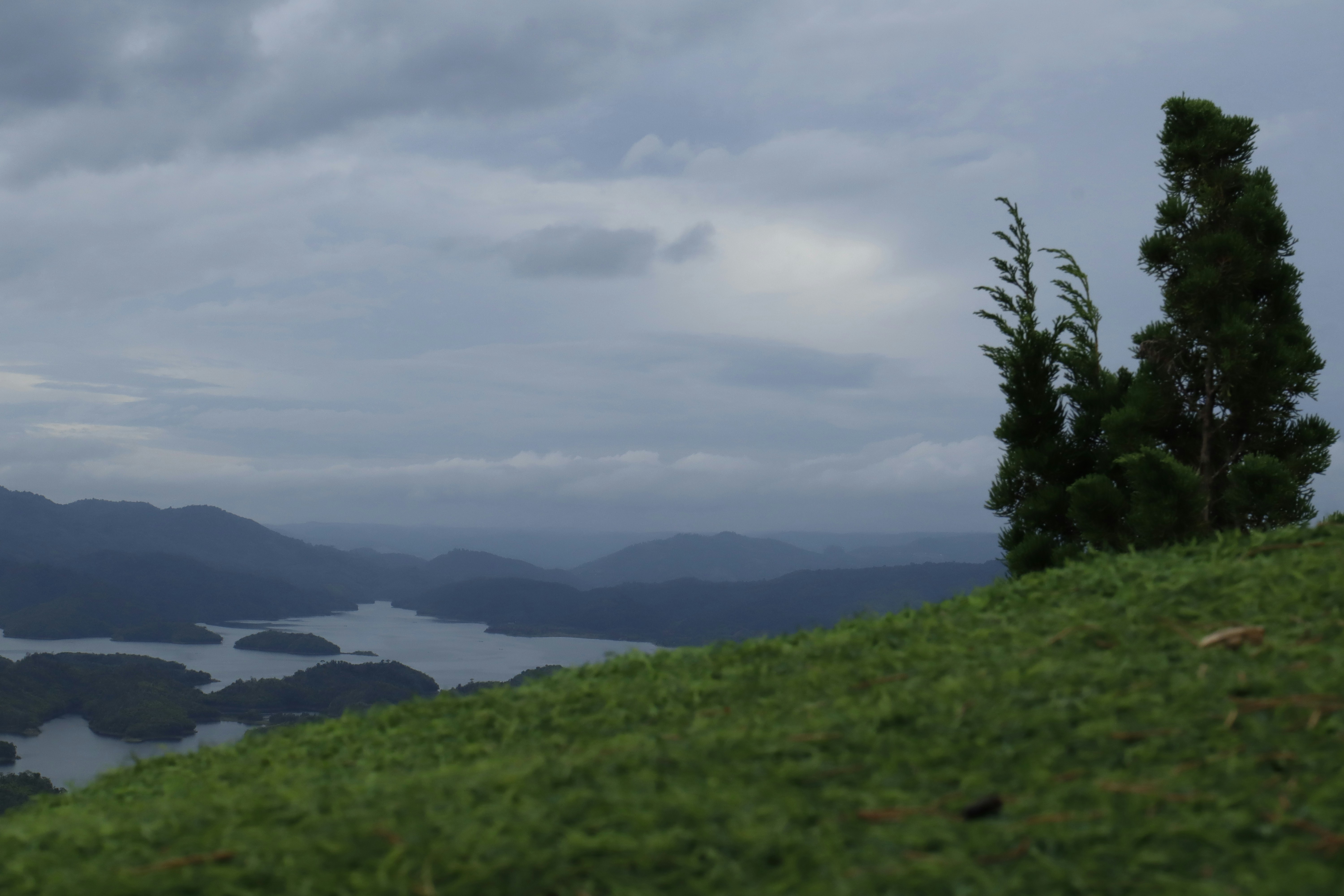 Photo by mikenguyen1905