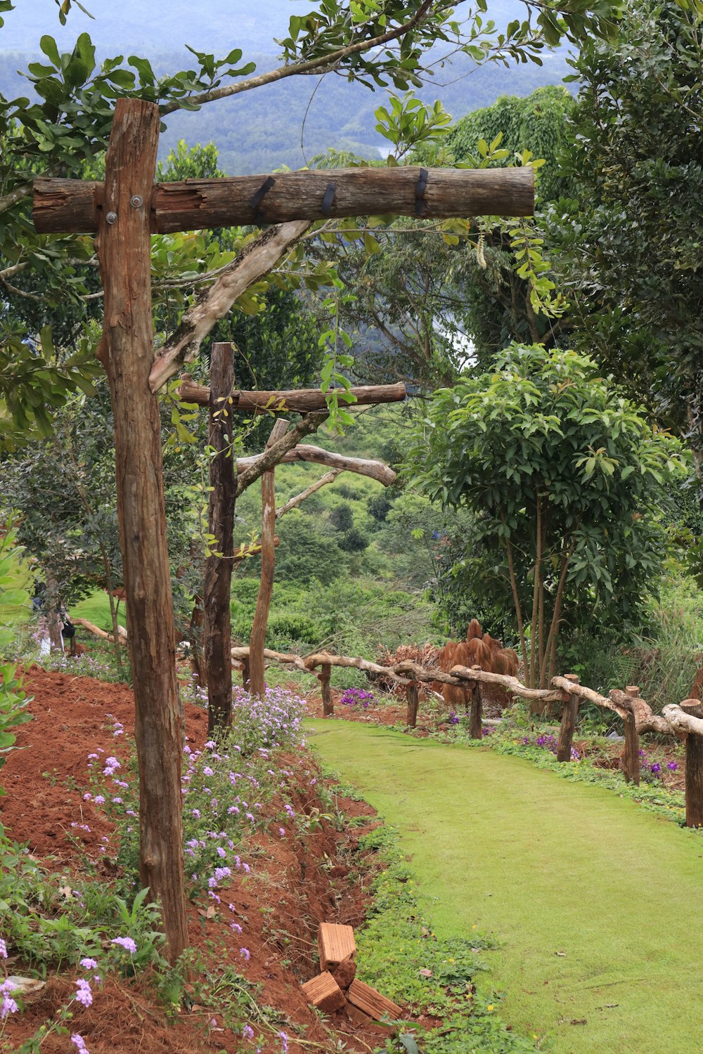 a garden with a wooden structure