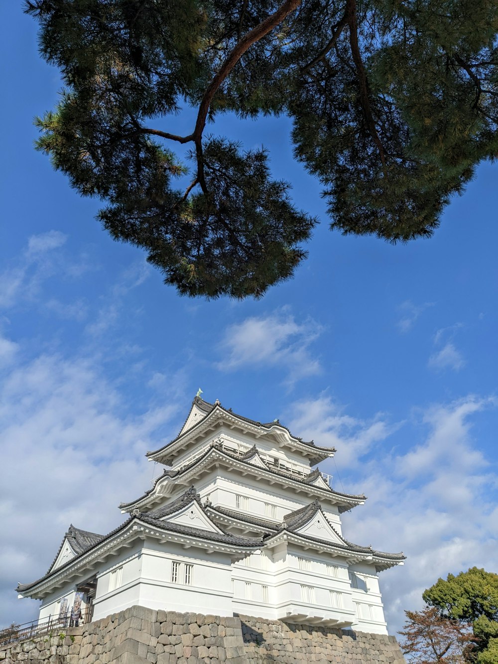 a building with a tree in the front