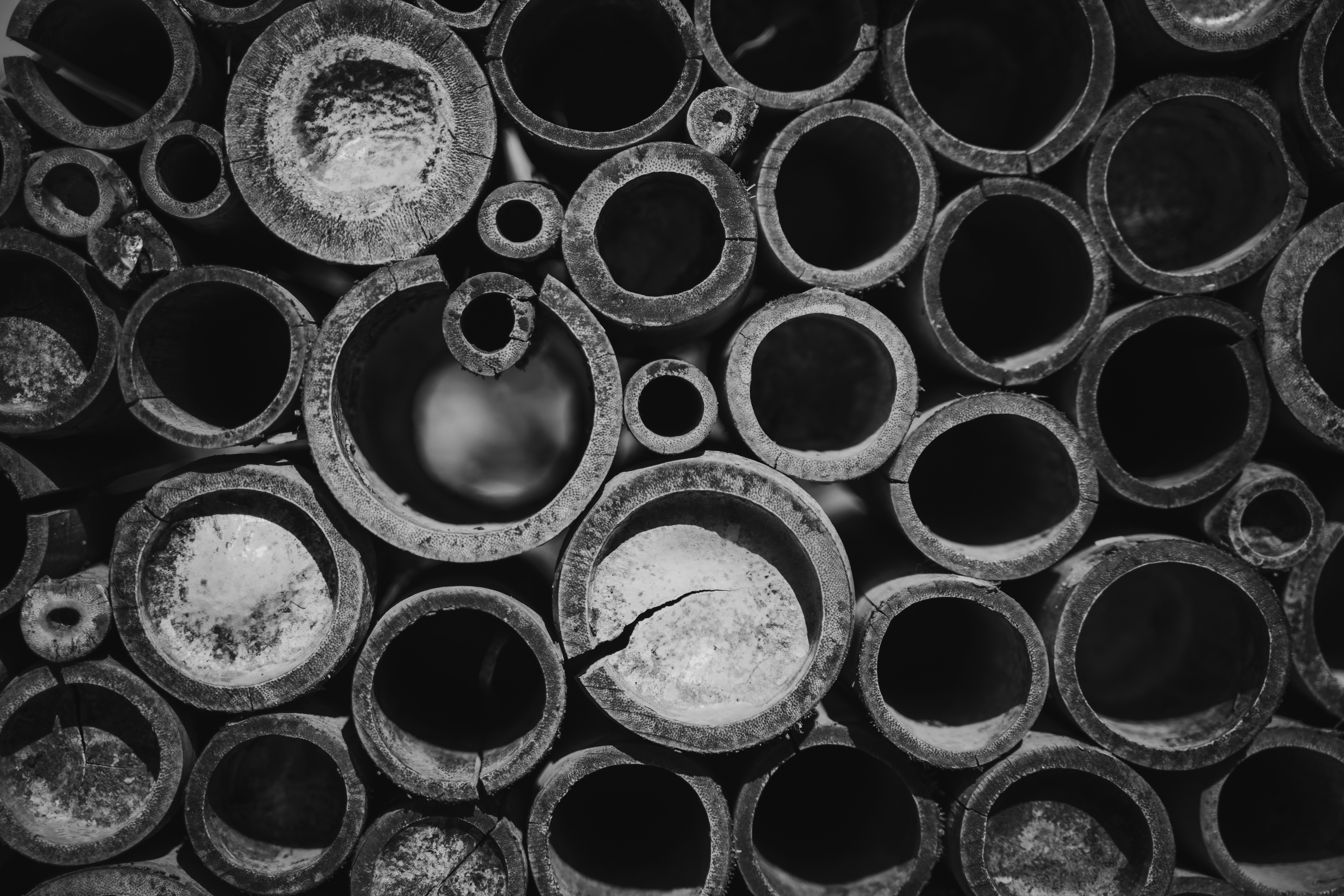 Photo by superxcalvin