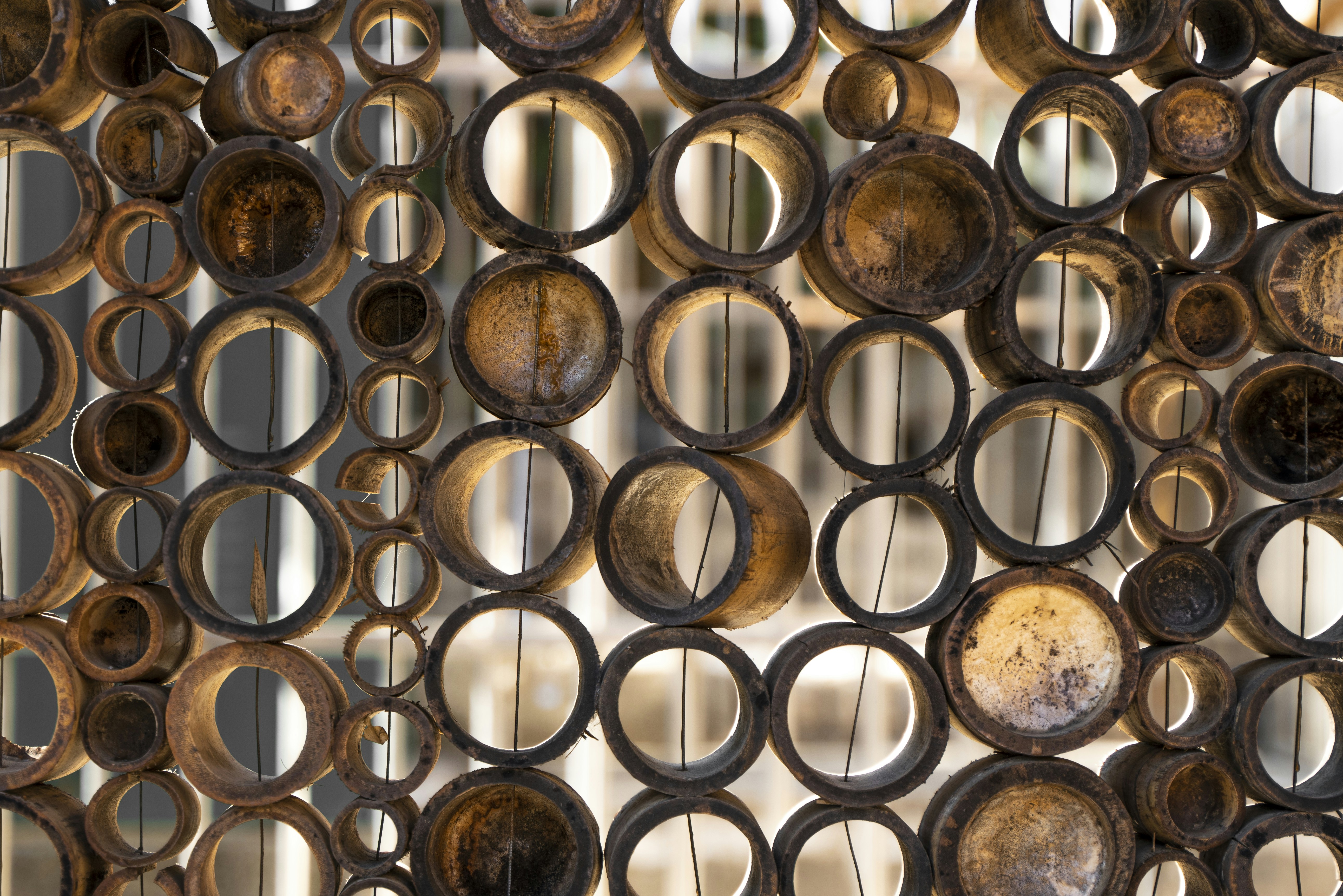 Photo by superxcalvin