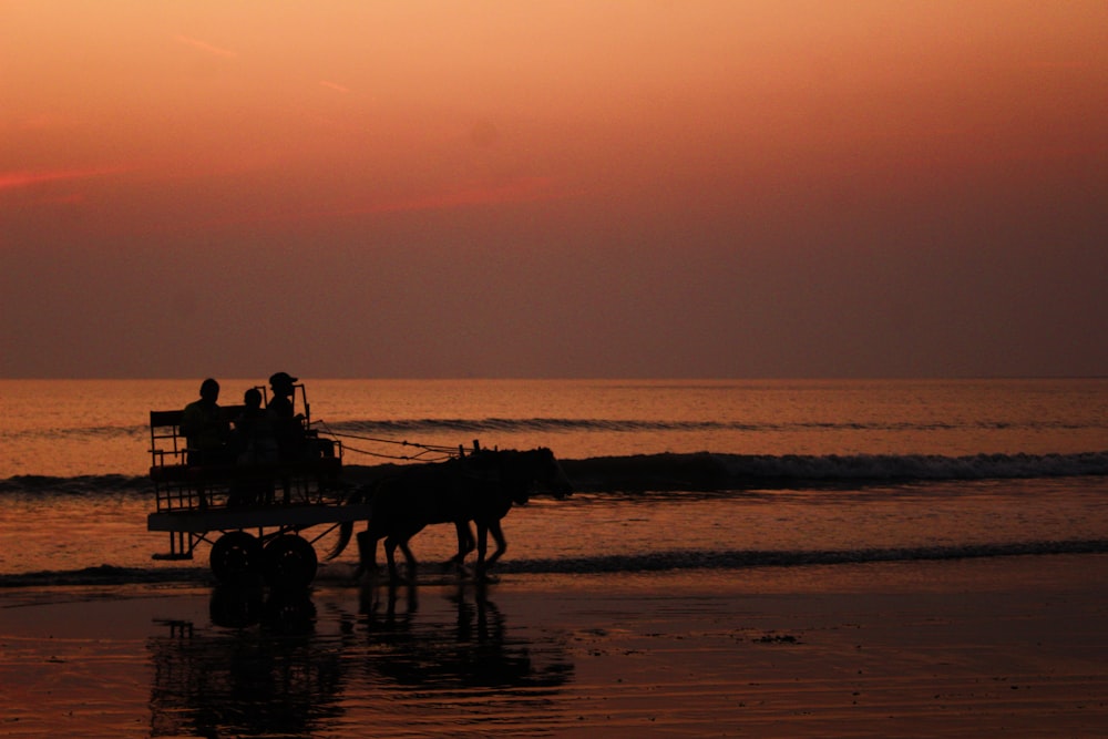 a group of people ride a horse carriage on the beach