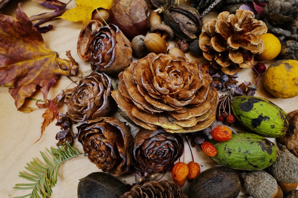 a pile of sea shells