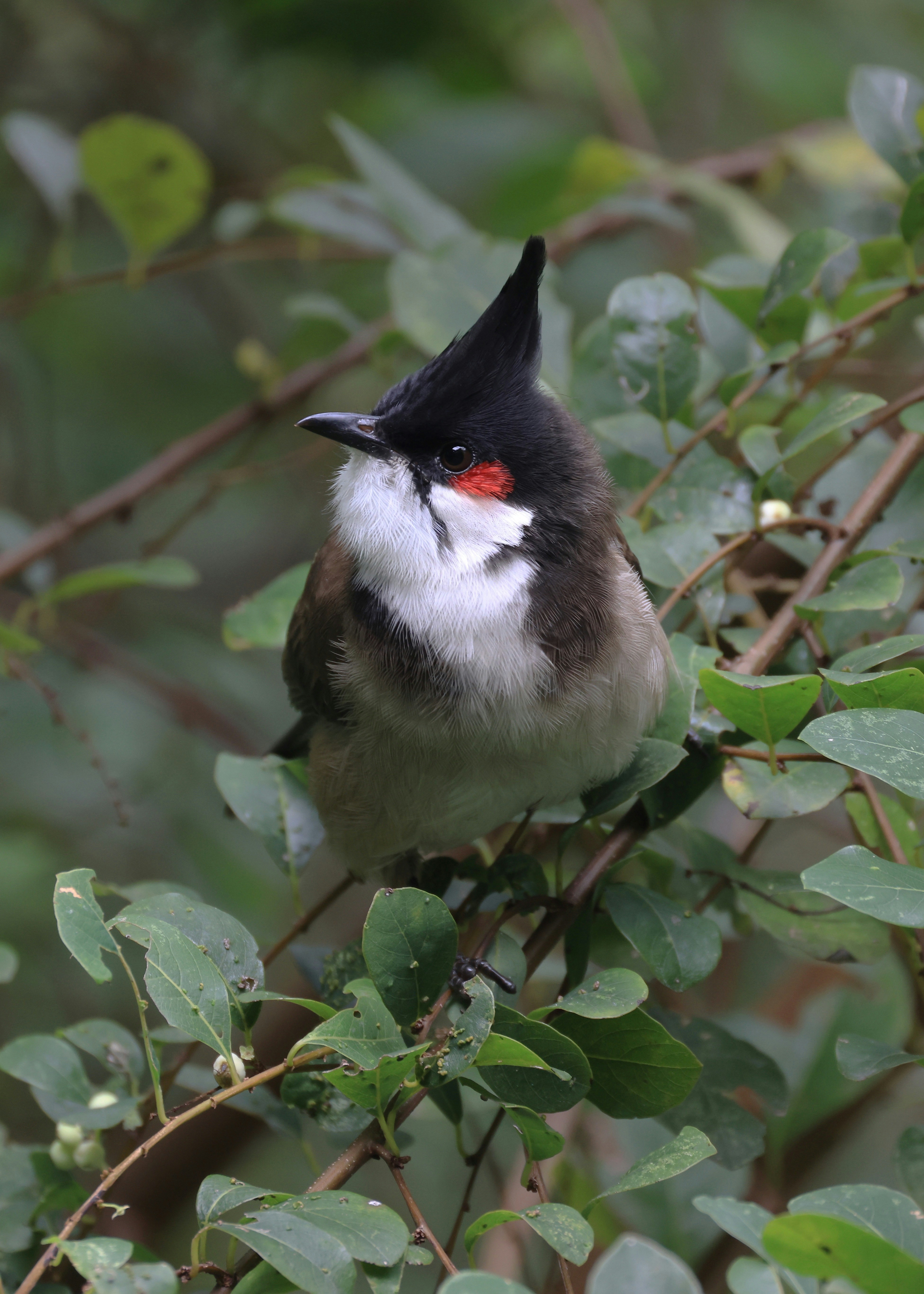 Photo by dickenslin76