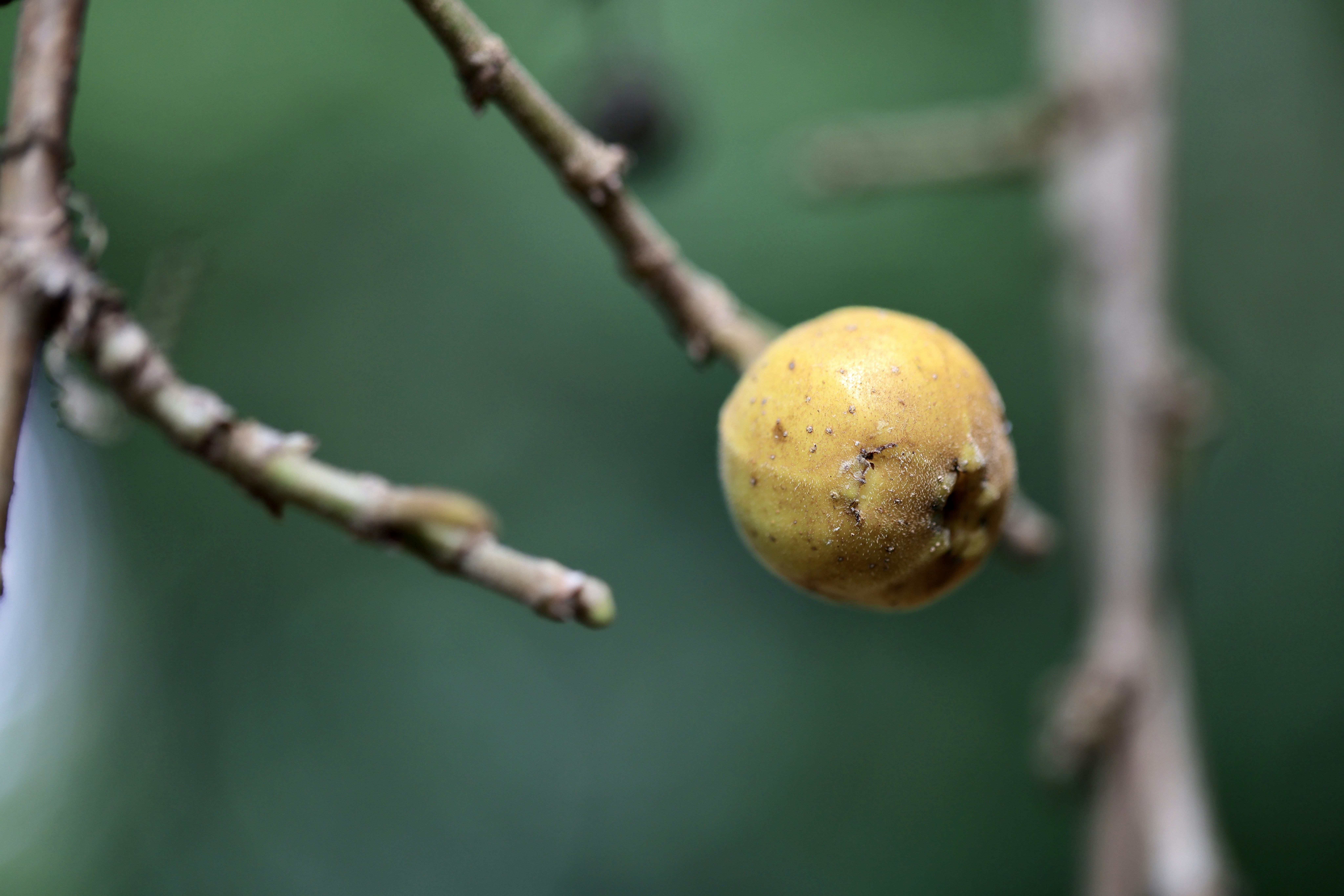 Photo by dickenslin76