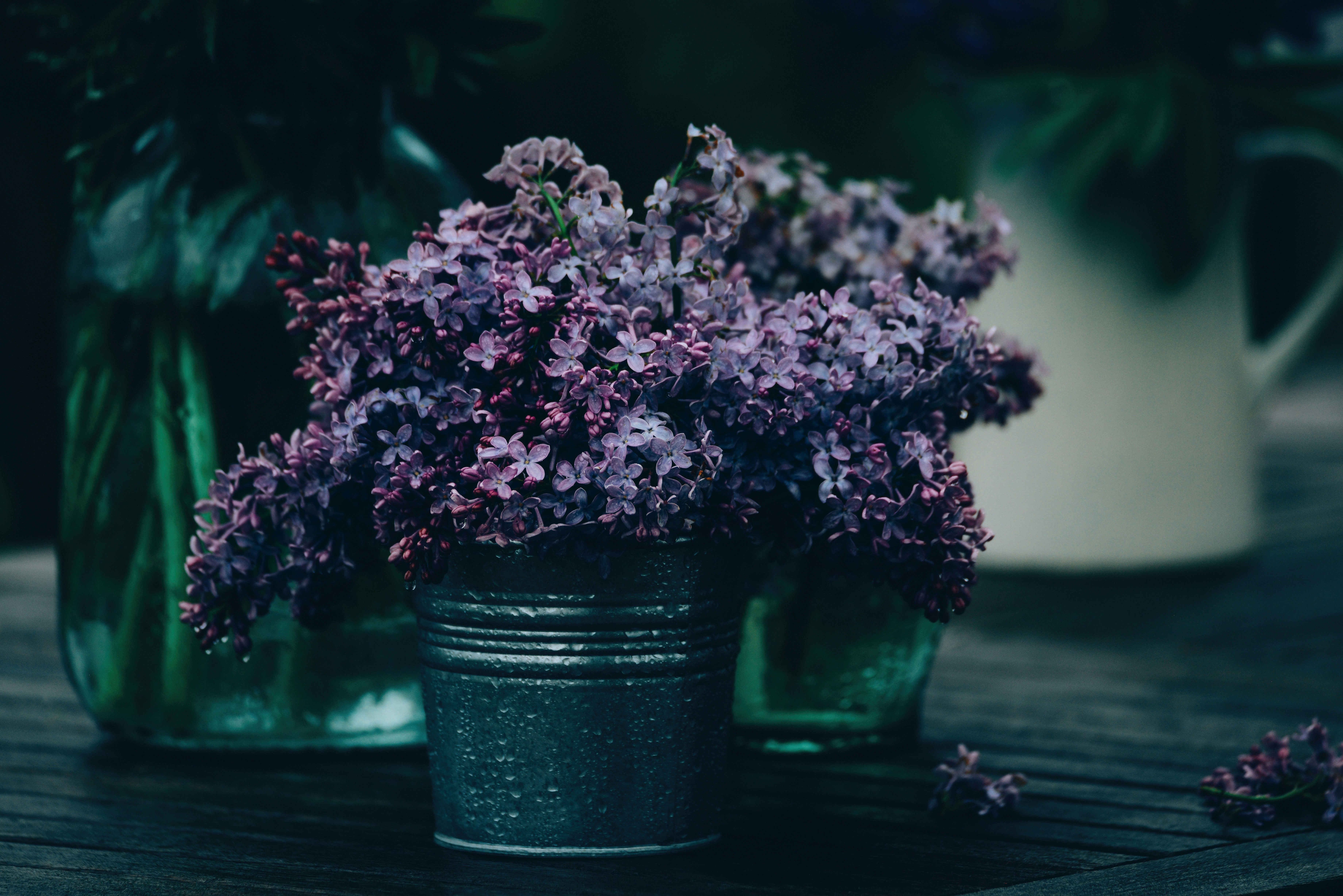 Photo by anitaaustvika