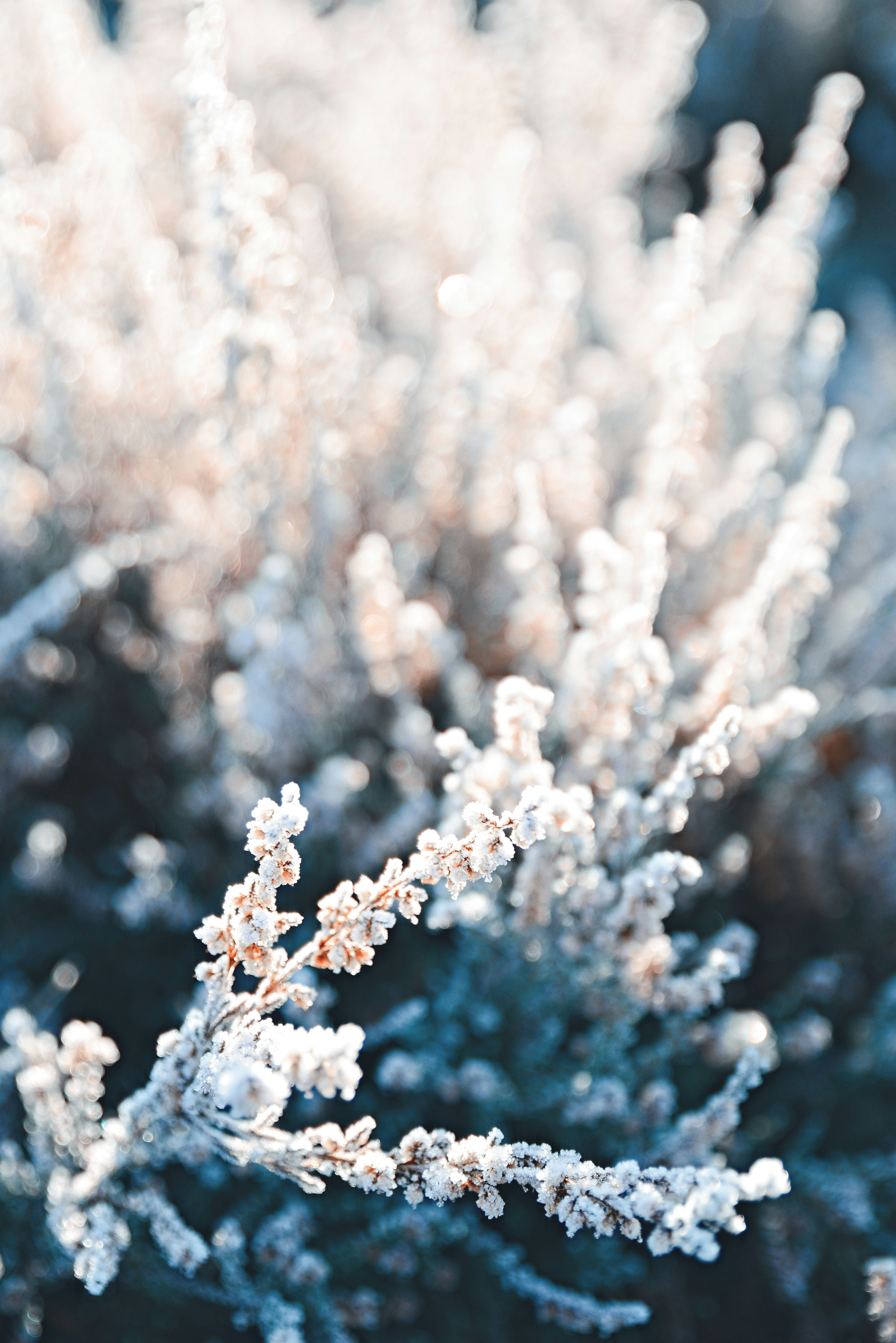 Photo by anitaaustvika