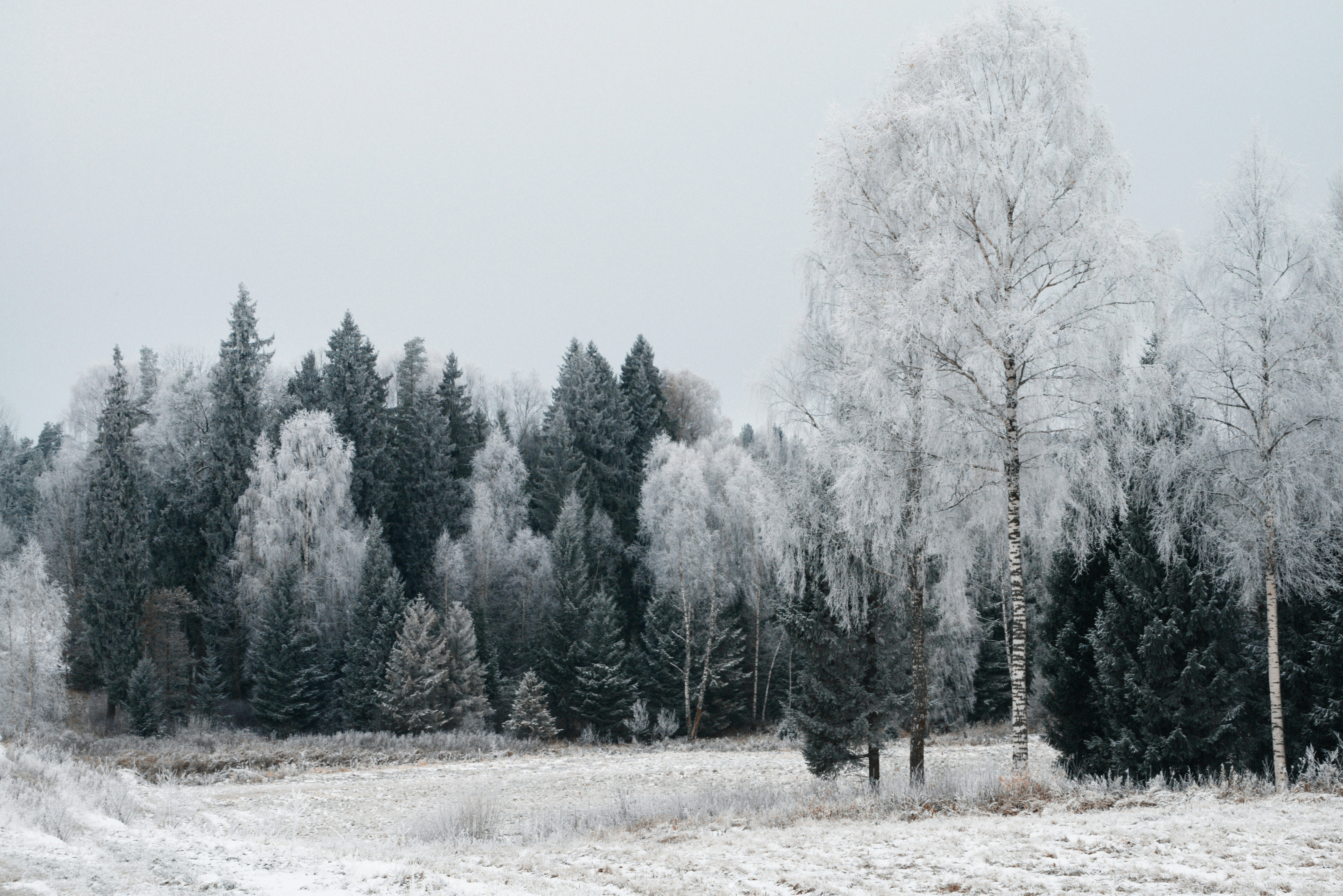 Photo by anitaaustvika