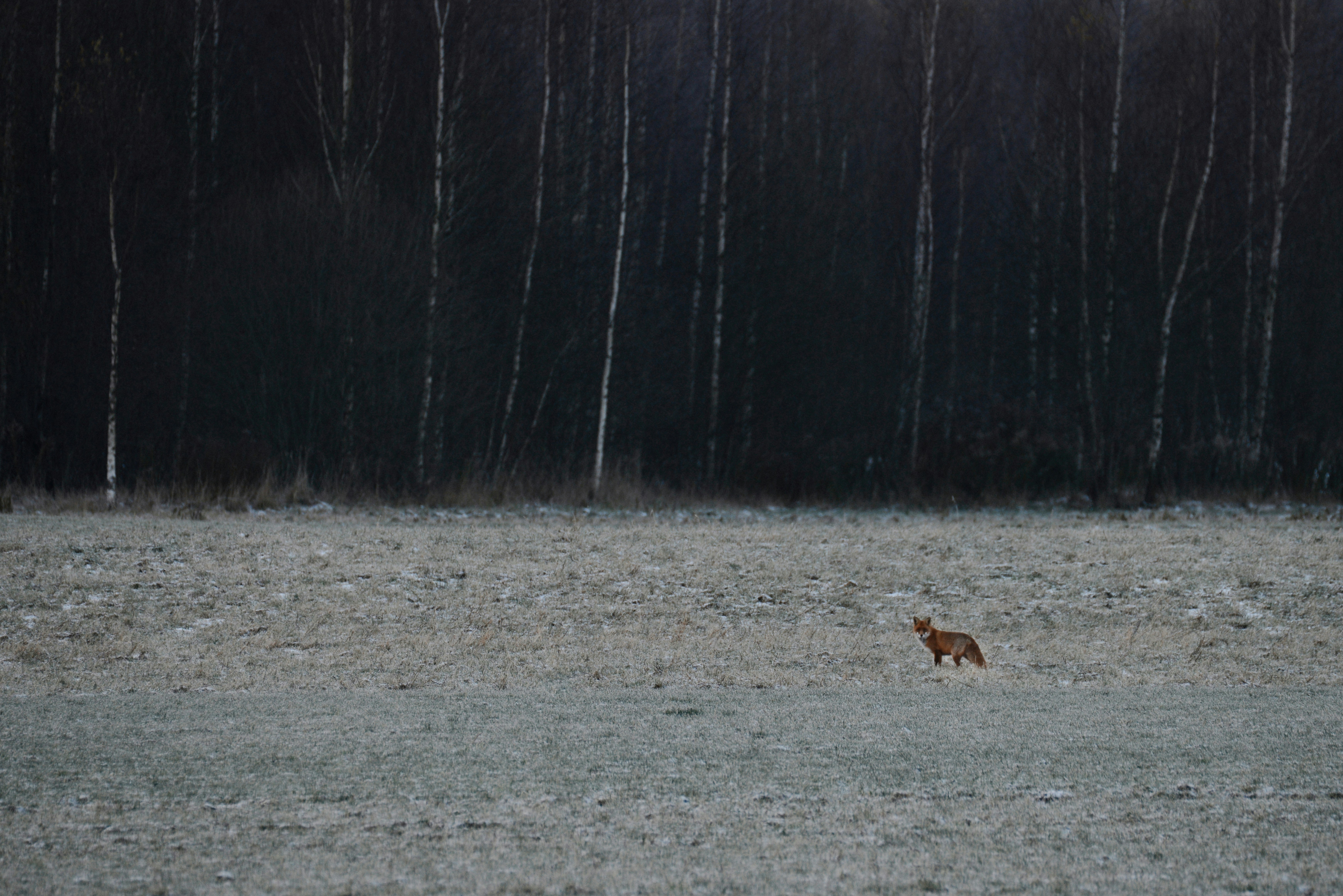 Photo by anitaaustvika
