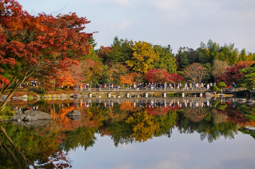 a body of water with trees around it