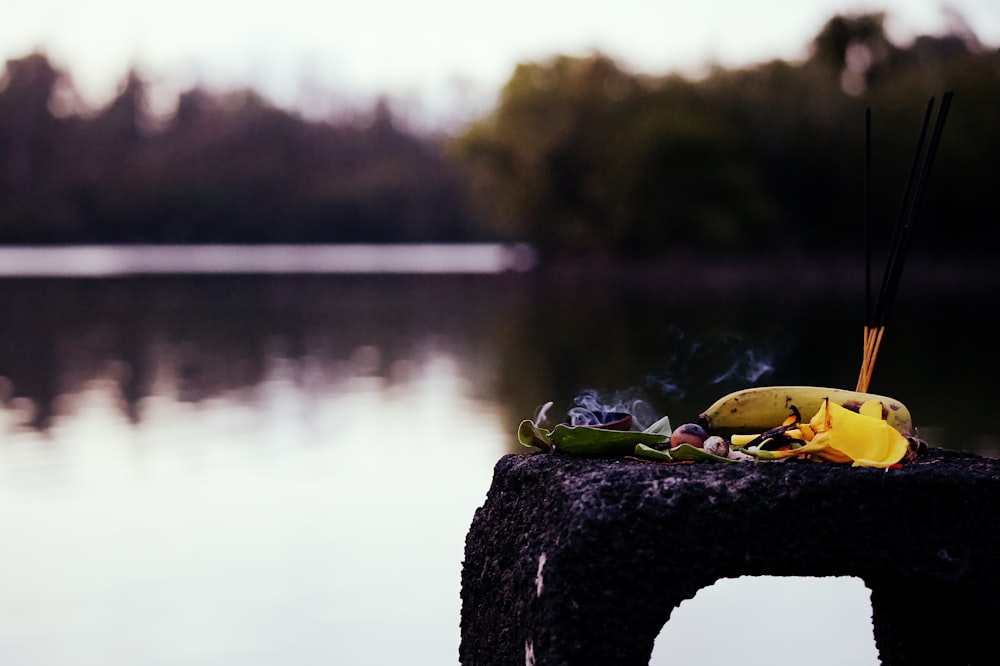 a couple of small flowers on a rock by a body of water