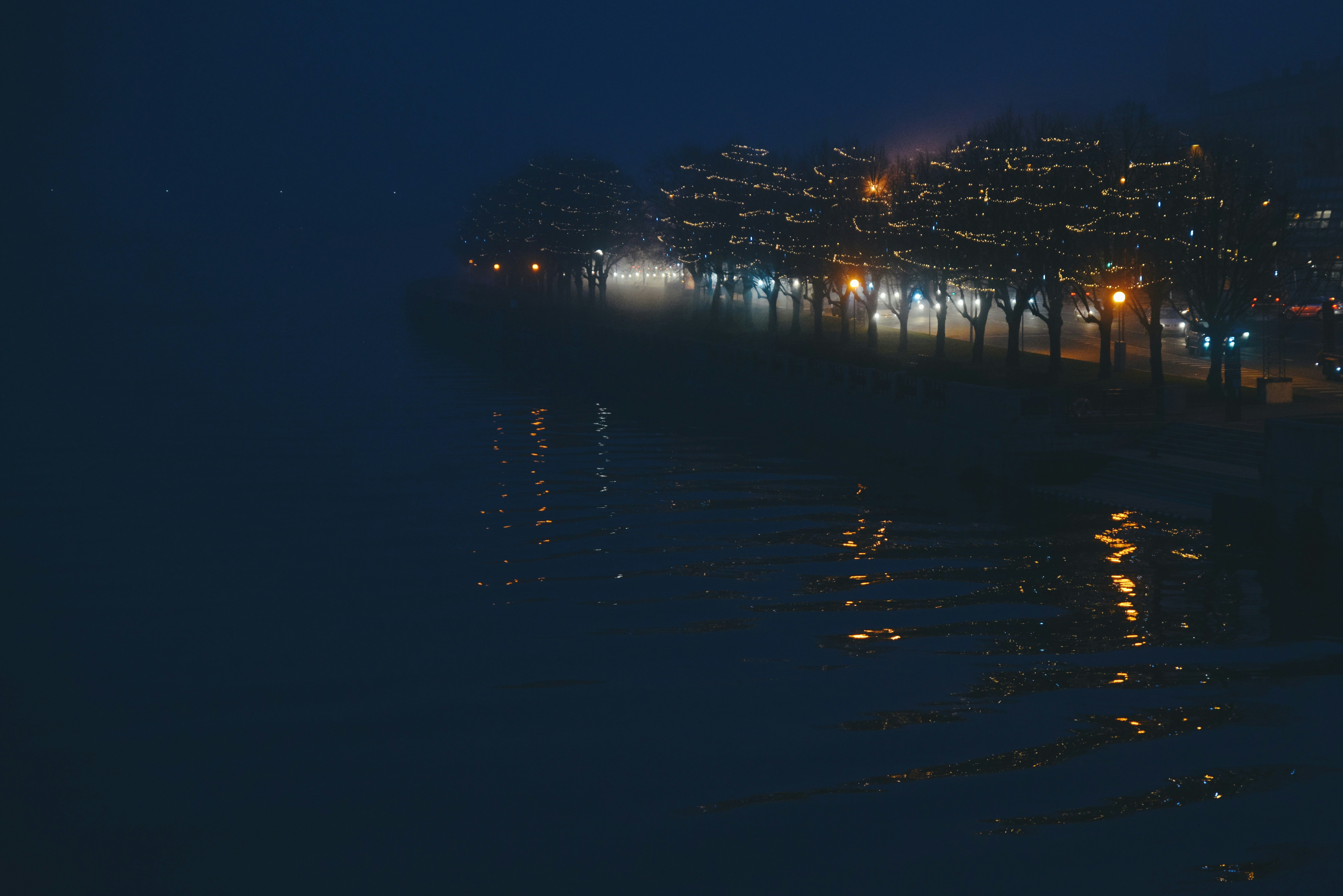 Photo by anitaaustvika