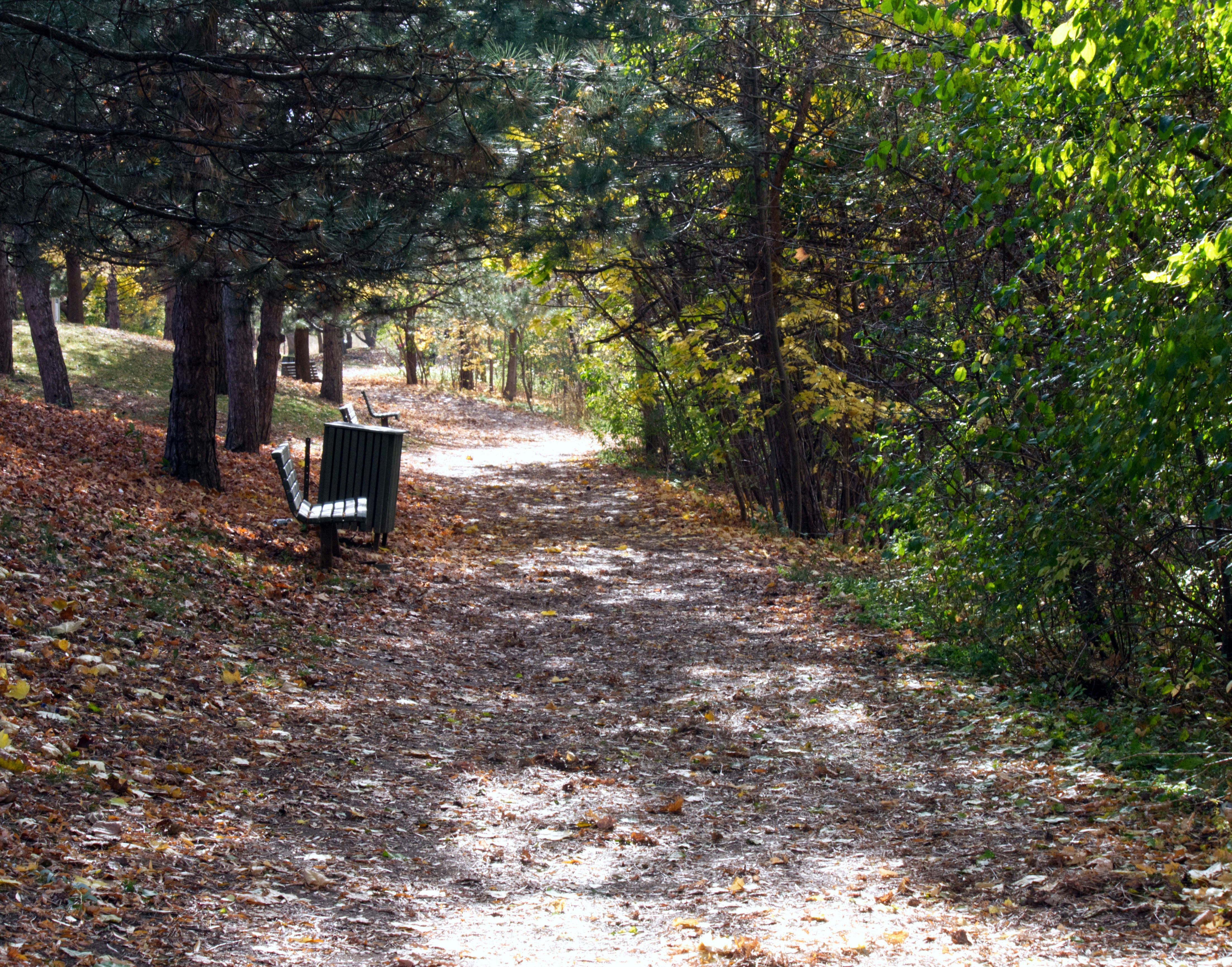Un banc dans un parc