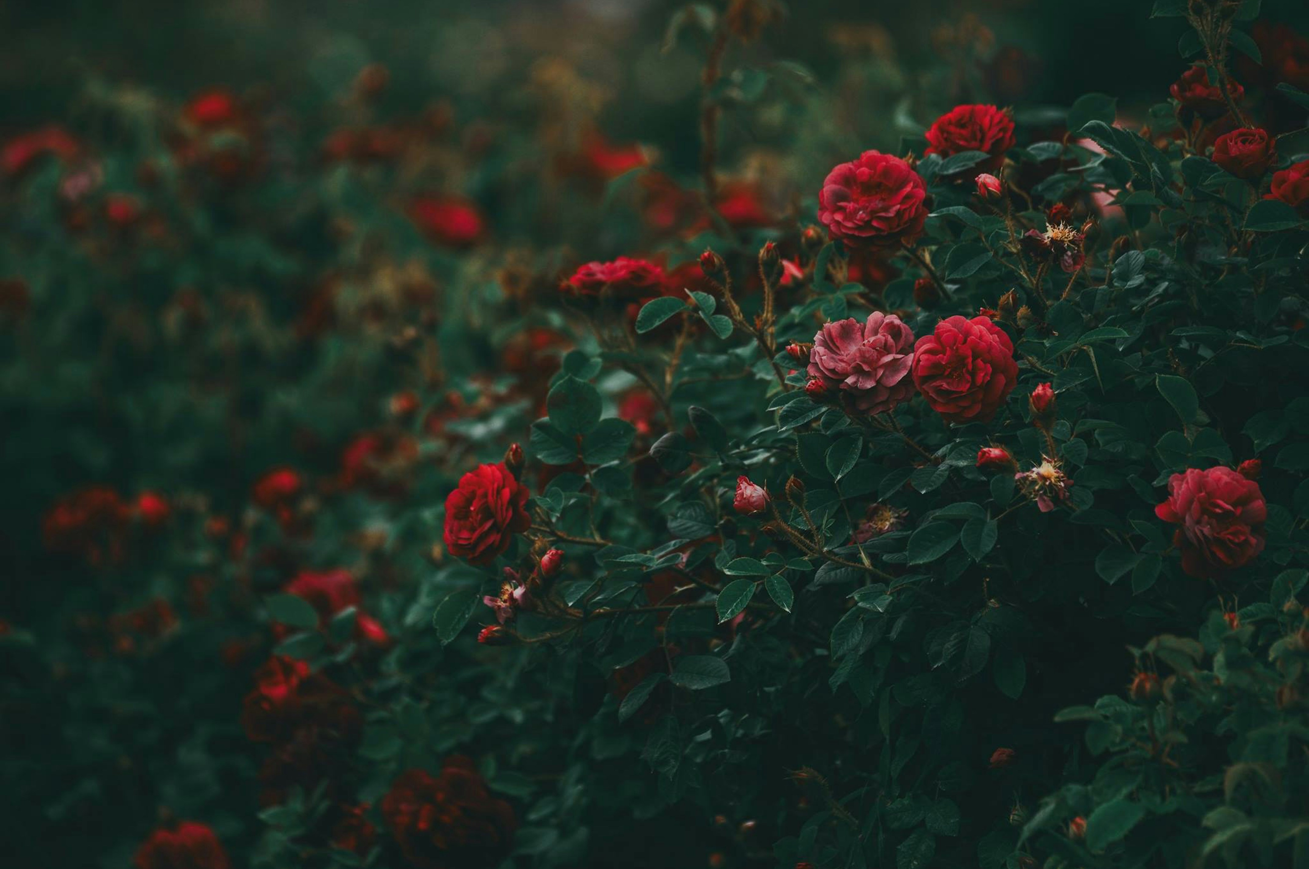 Photo by anitaaustvika