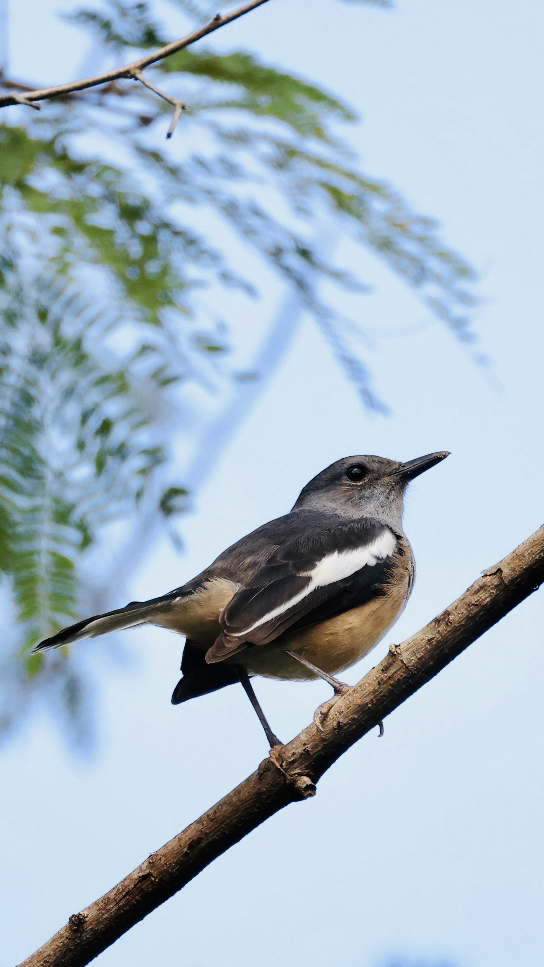 Photo by dickenslin76