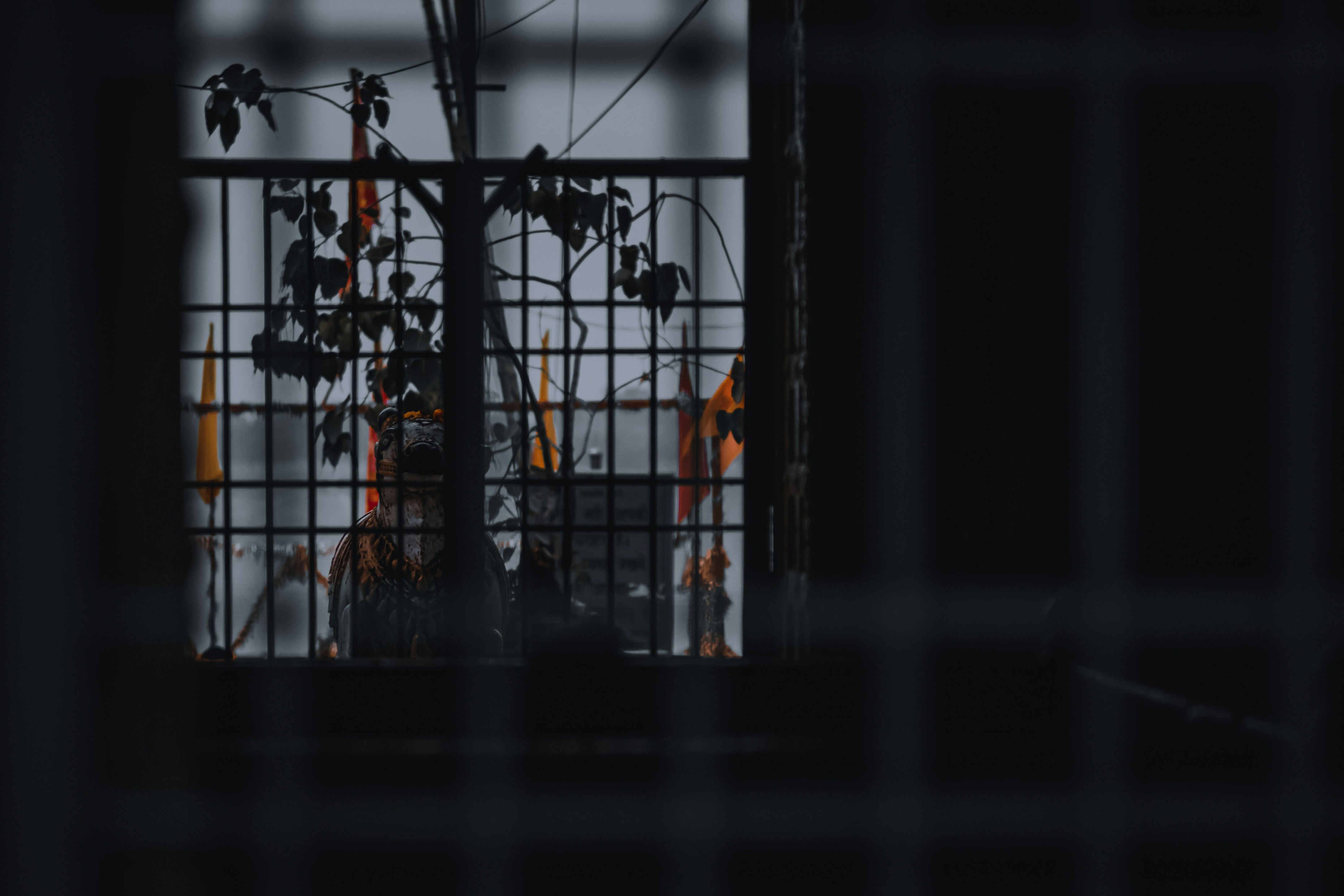 Rights group calls for urgent prison reform.