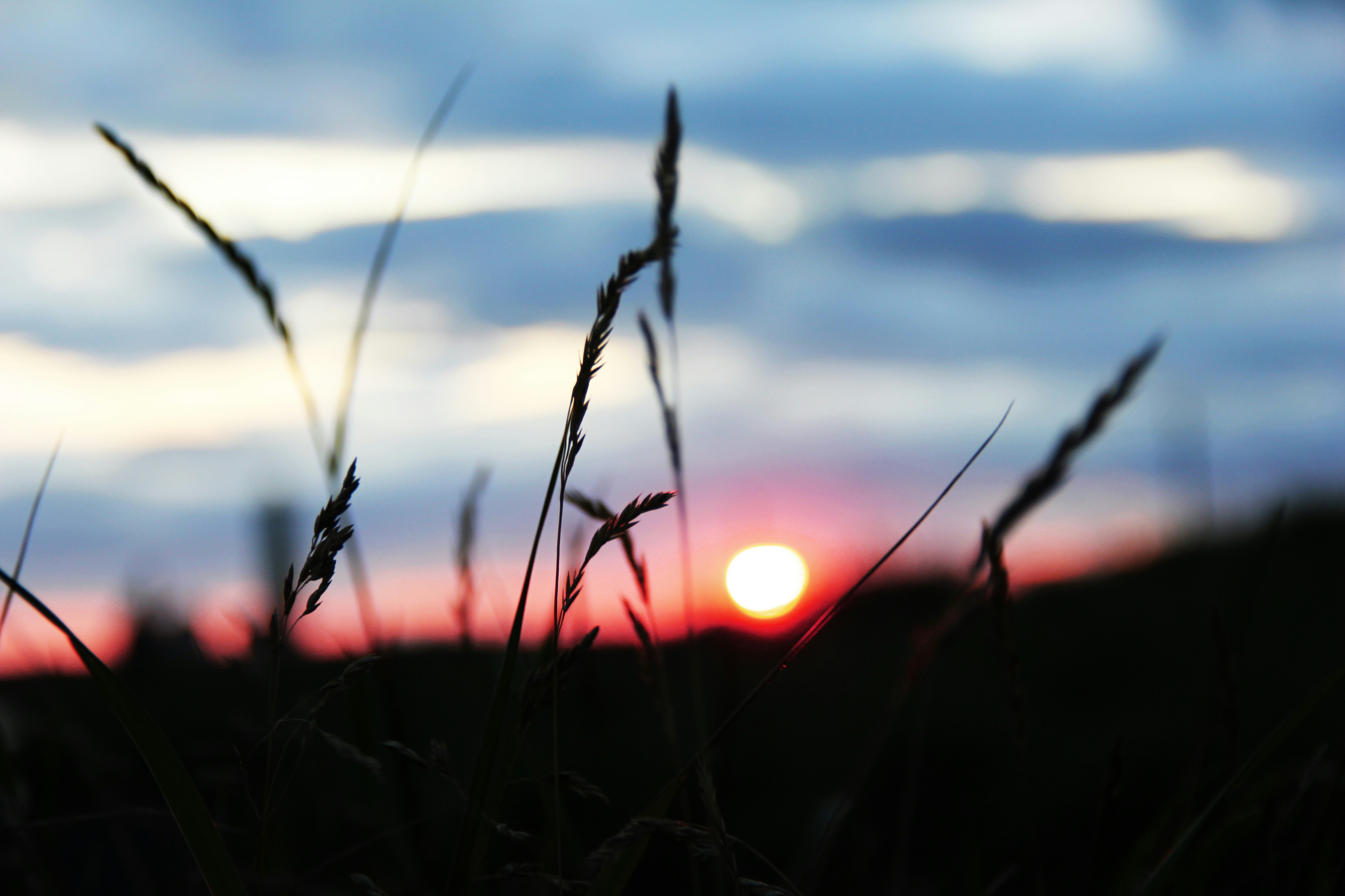 Photo by trfotografi