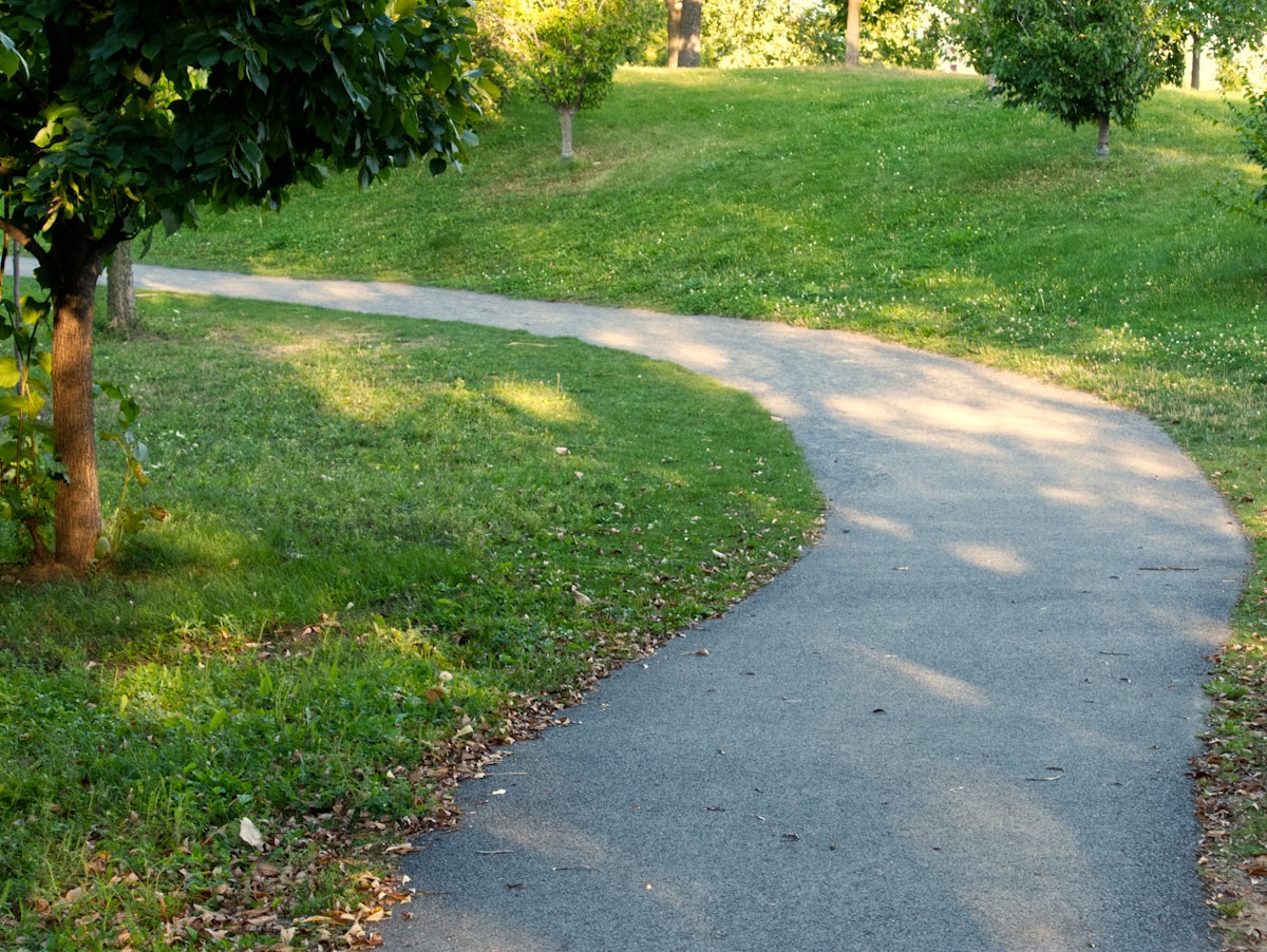 Paving and Pathways image
