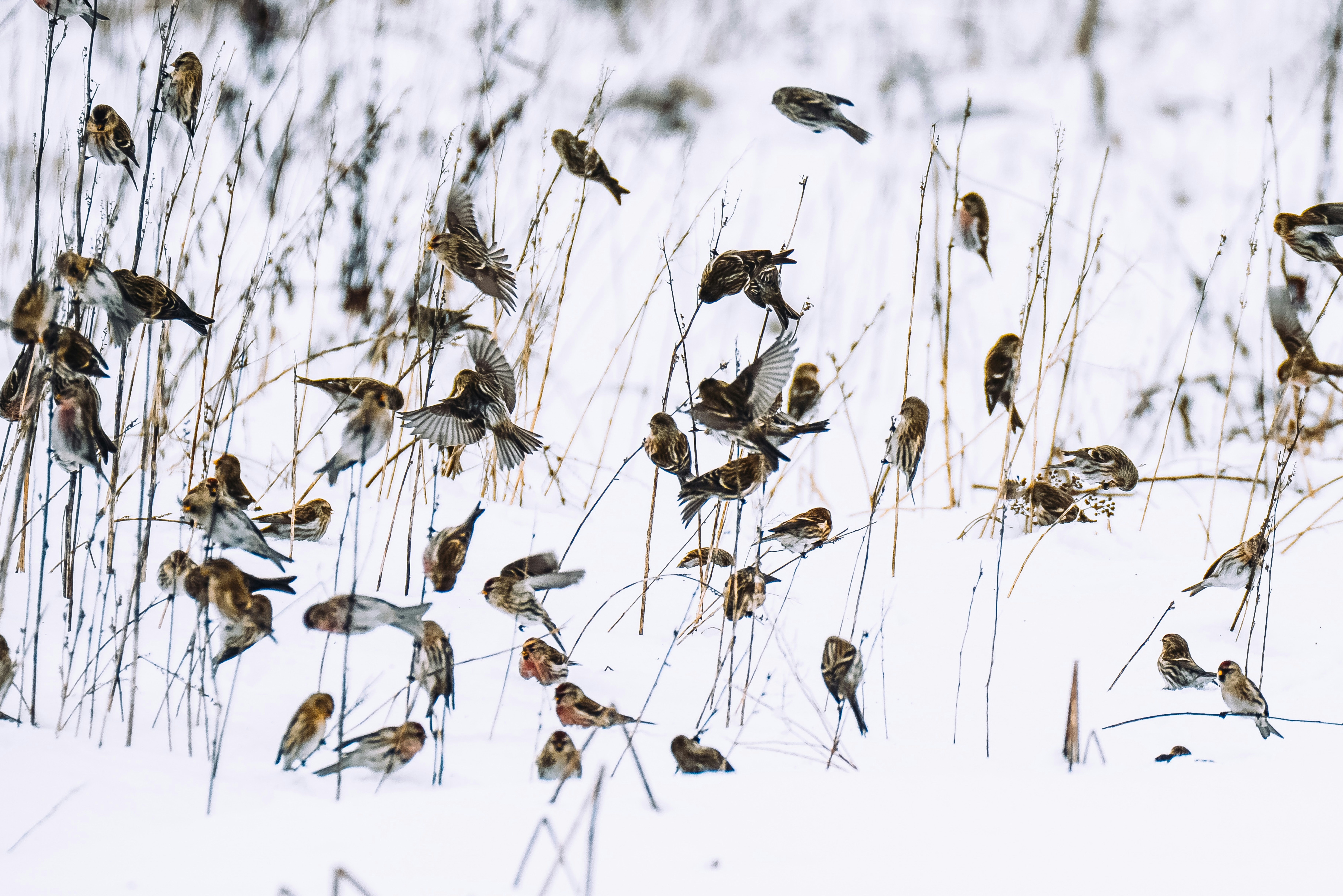 Photo by anitaaustvika