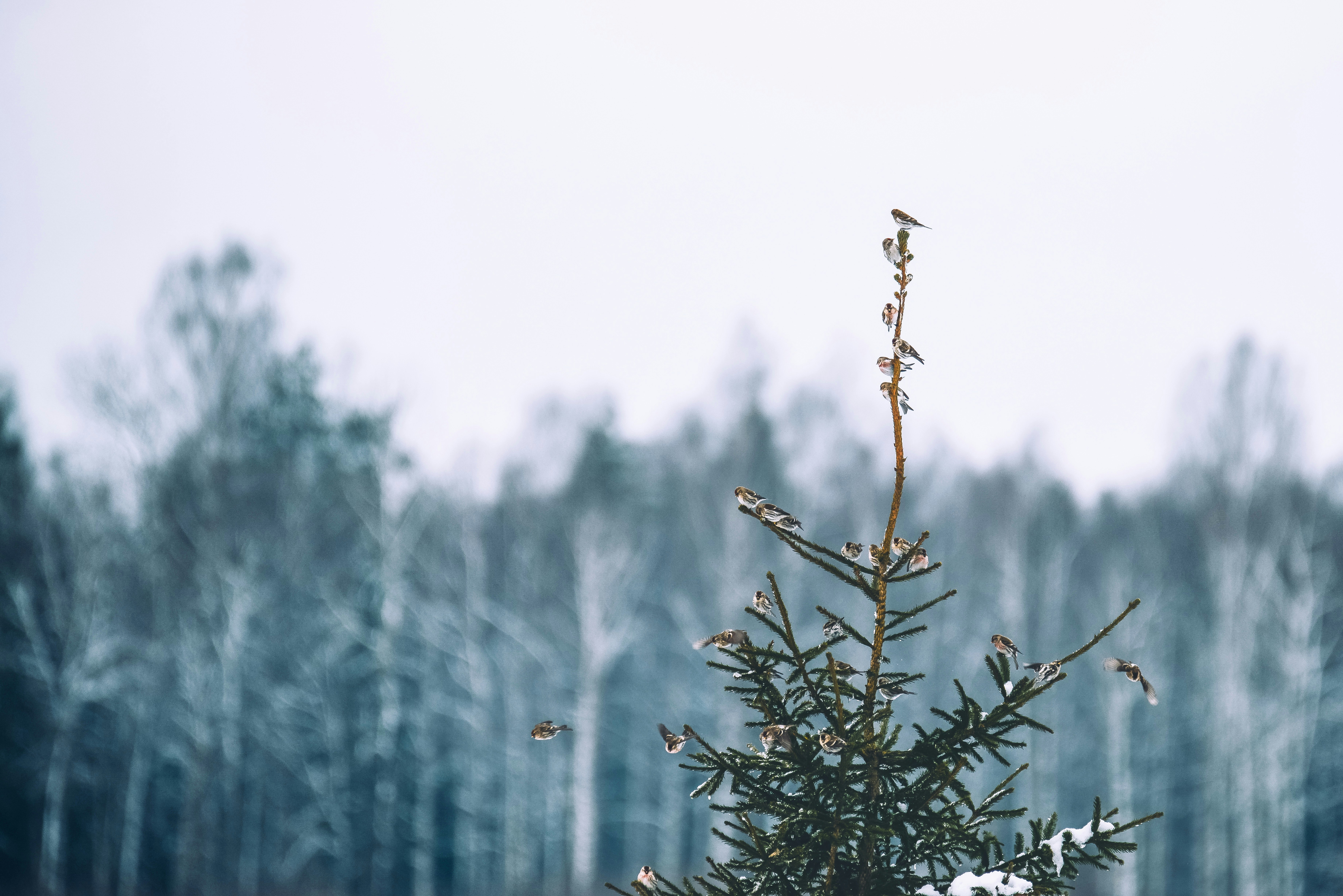 Photo by anitaaustvika