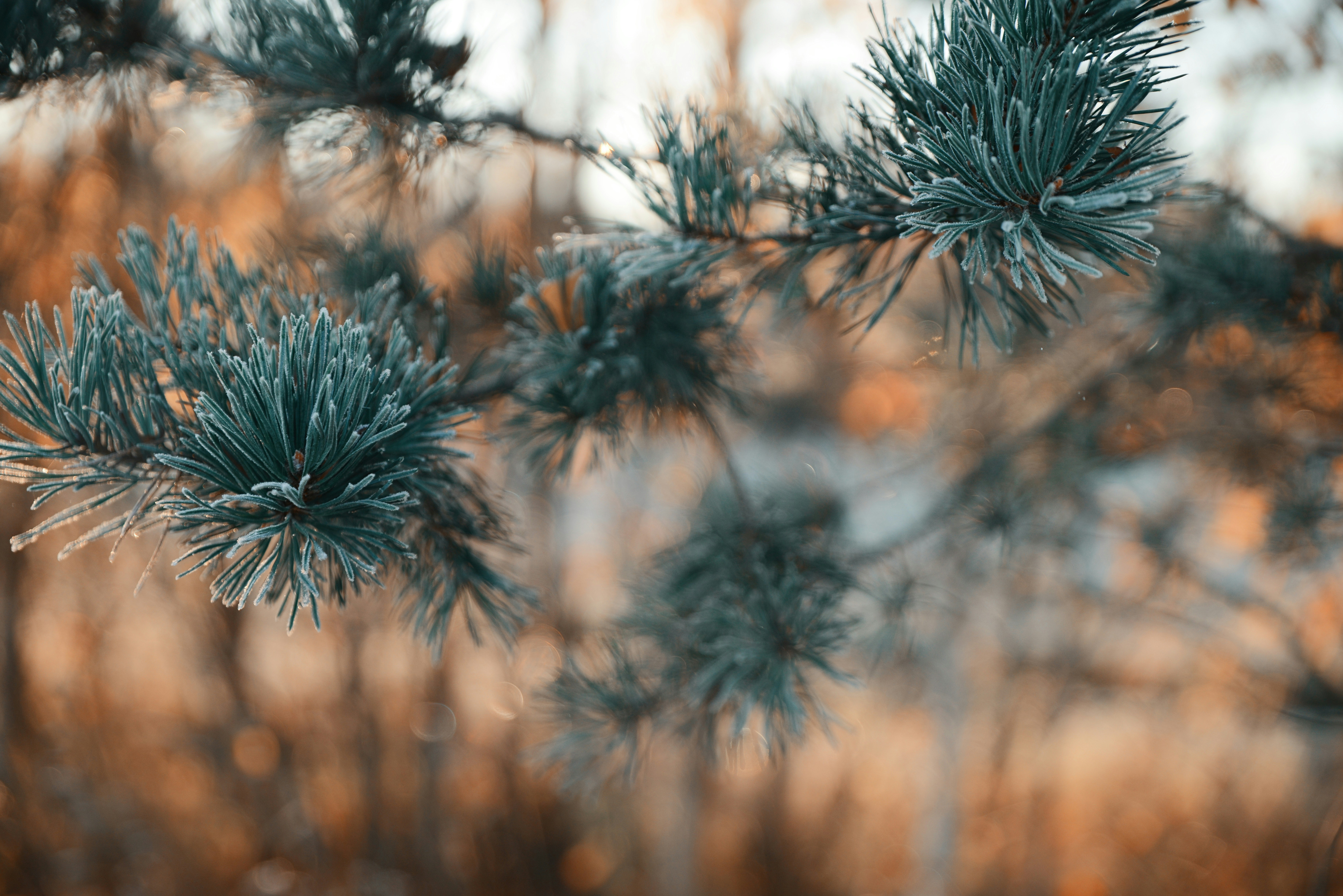 Photo by anitaaustvika