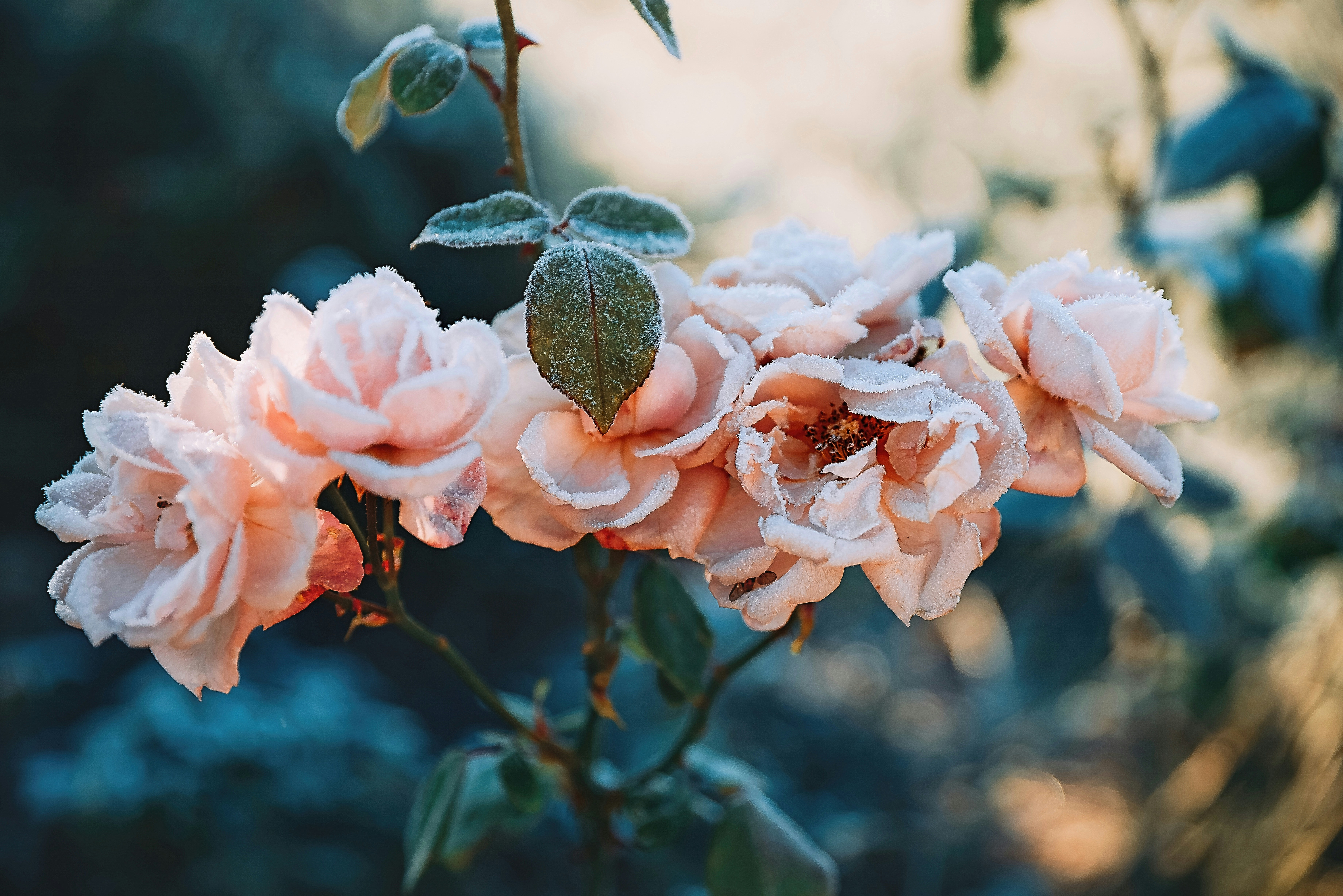 Photo by anitaaustvika