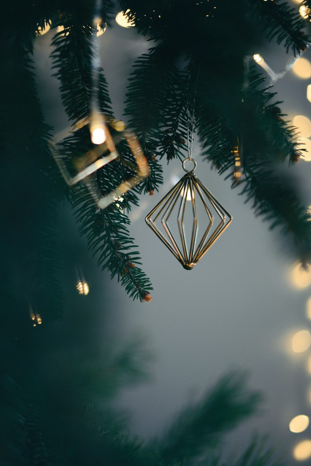 Un árbol con luces