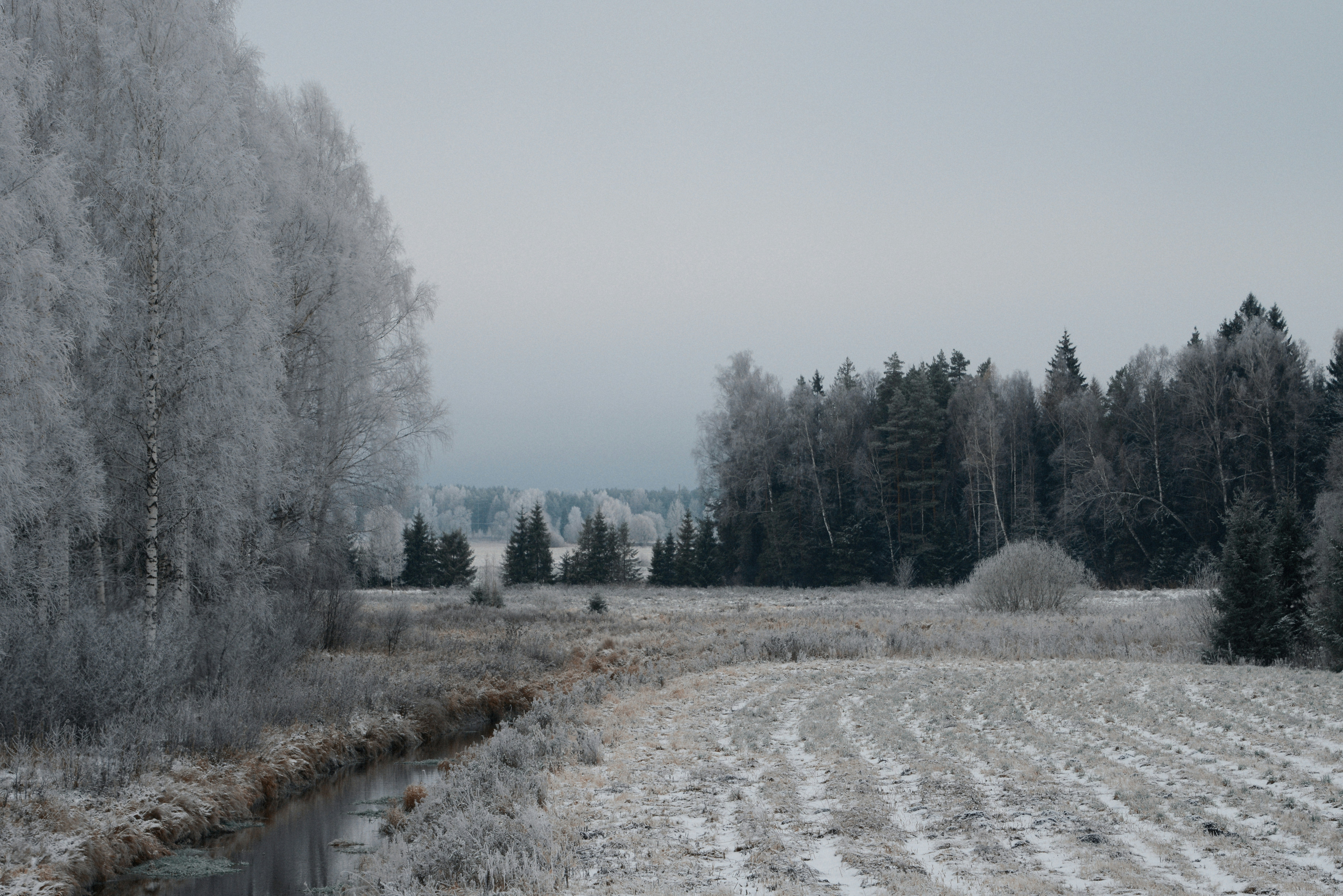 Photo by anitaaustvika