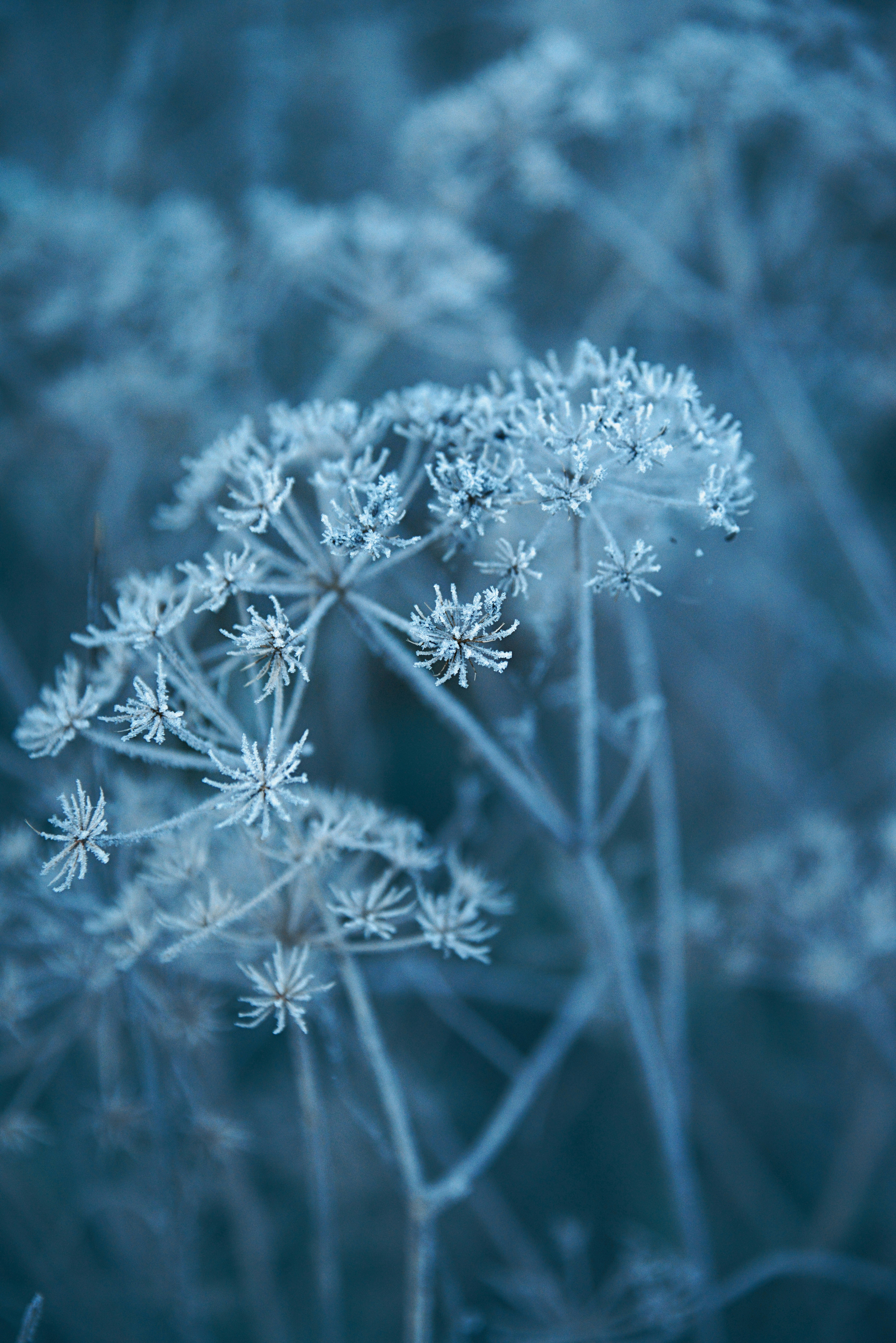 Photo by anitaaustvika