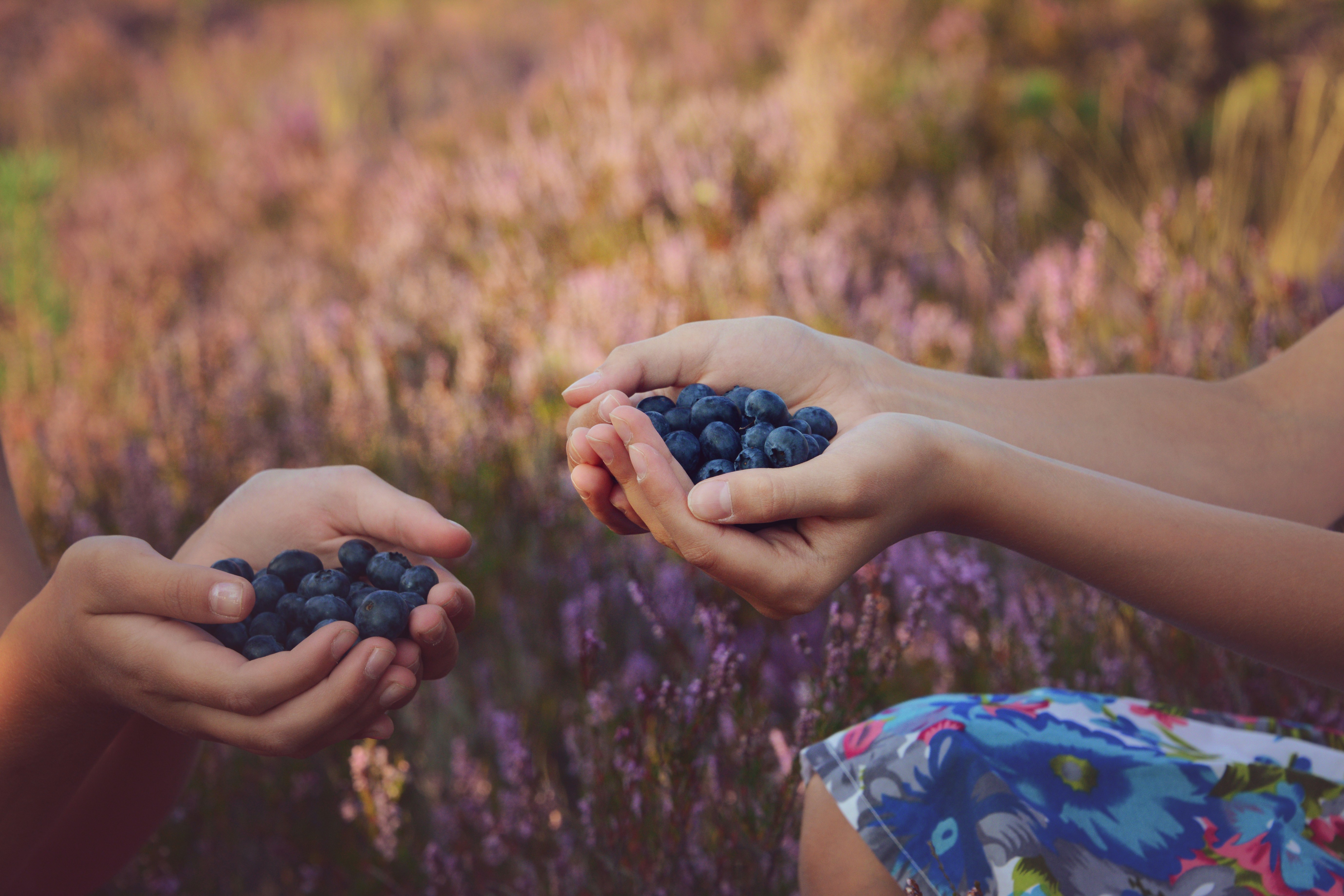 Photo by anitaaustvika