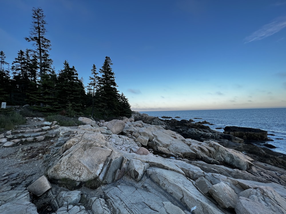 a rocky beach with trees and water