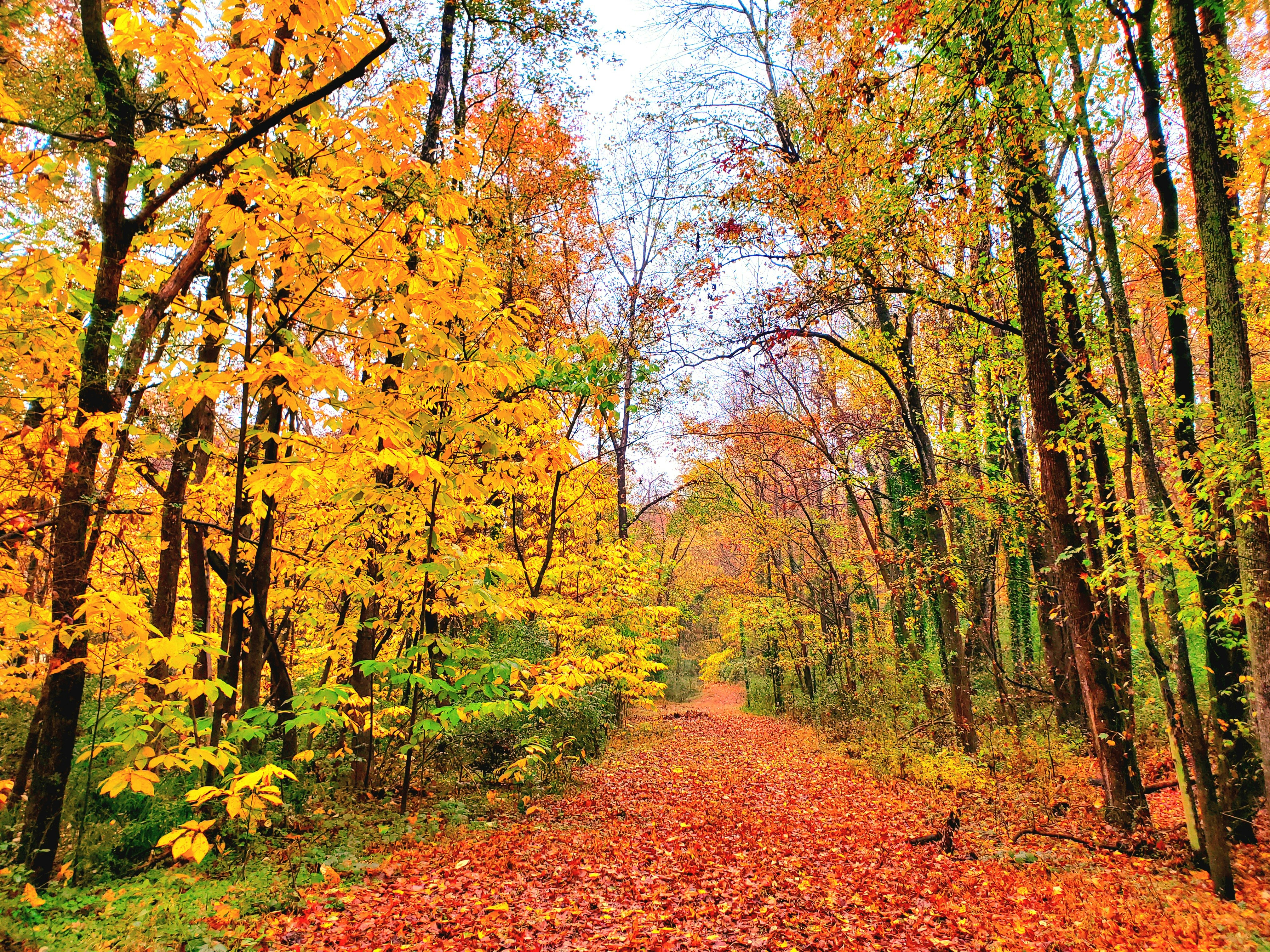 Photo by karolinabobek