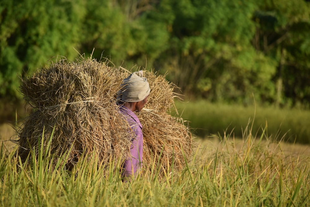 a child carrying a large porcupine in a field