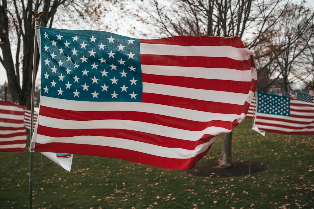 a group of flags