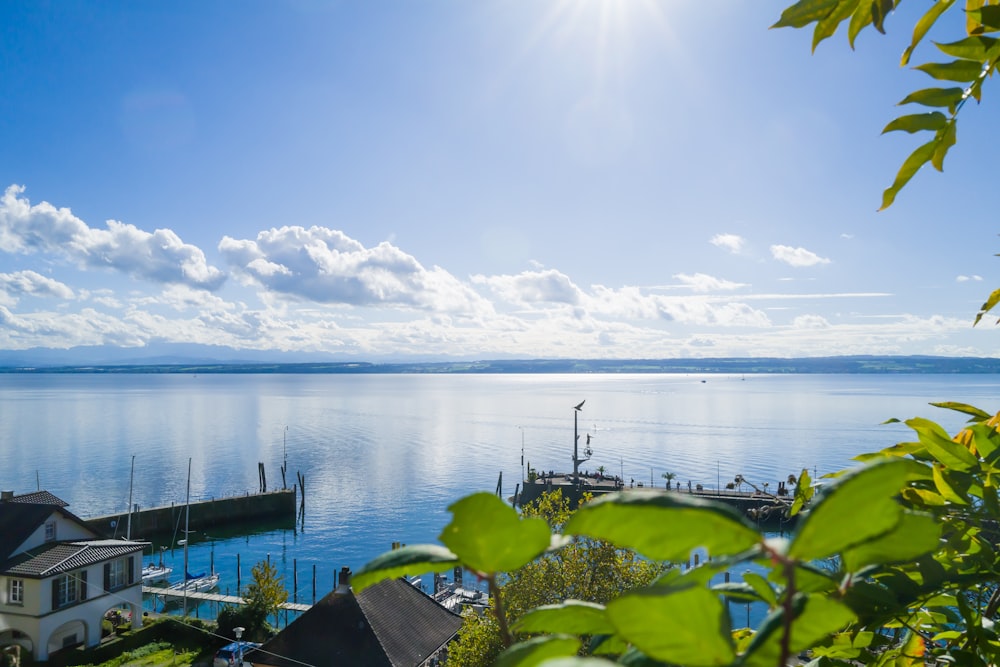 a body of water with buildings and trees around it